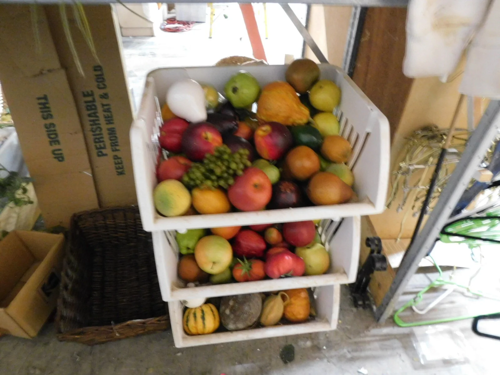DSCN1425.JPG
