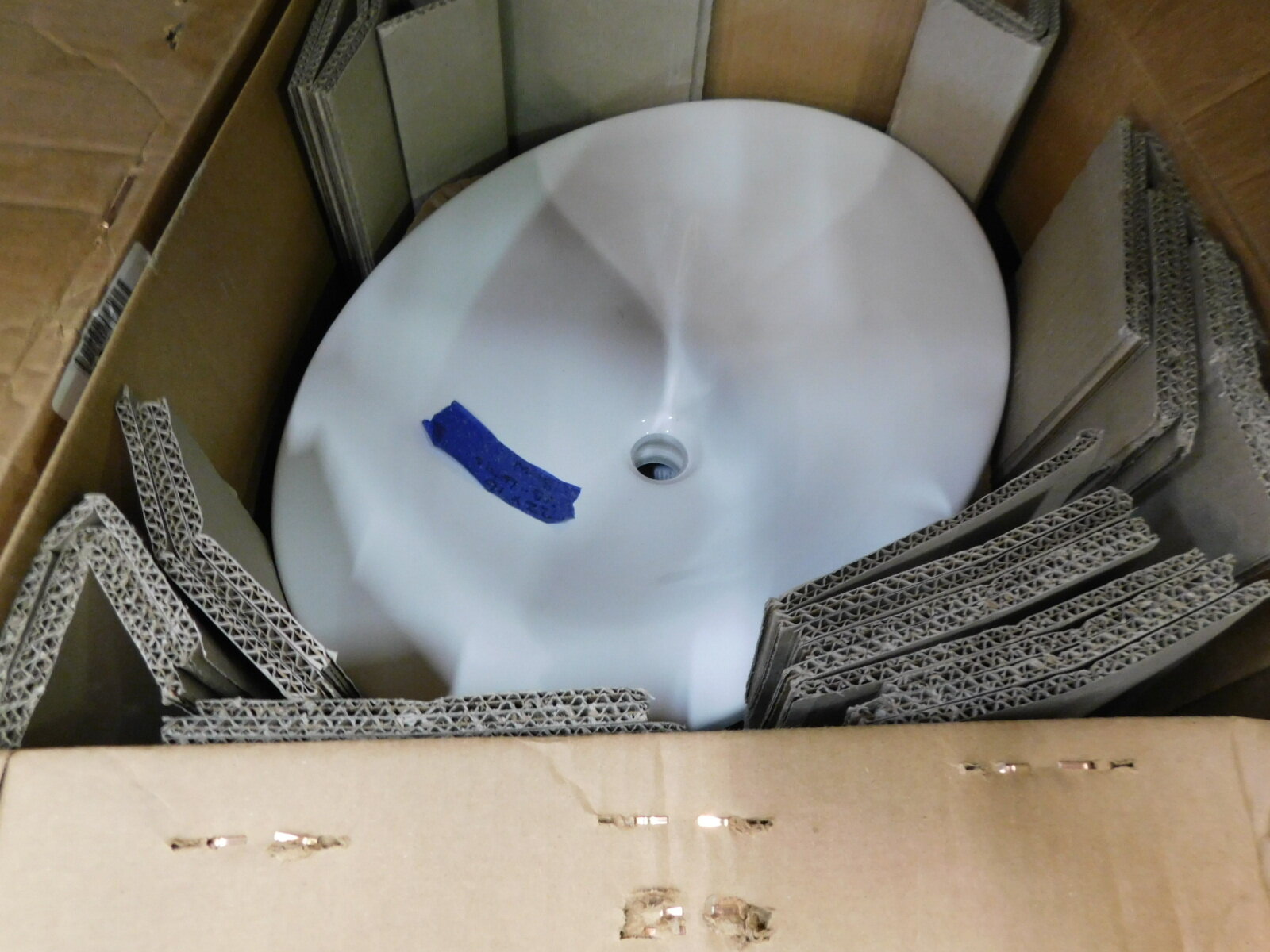 DSCN1531.JPG