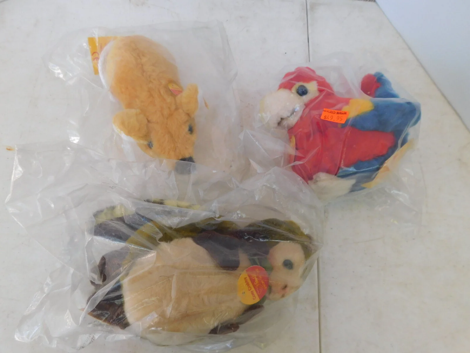 DSCN2536.JPG