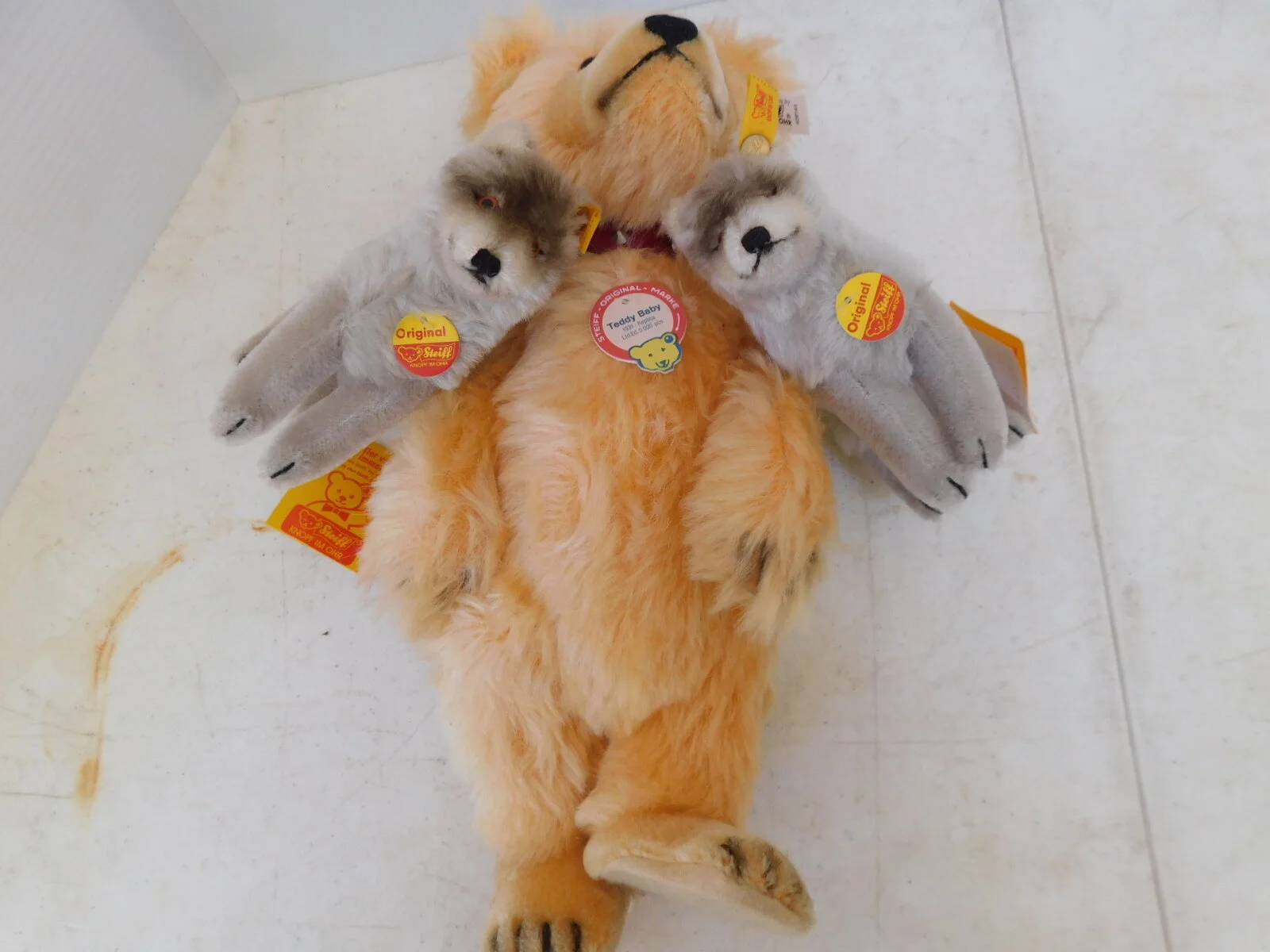 DSCN2540.JPG