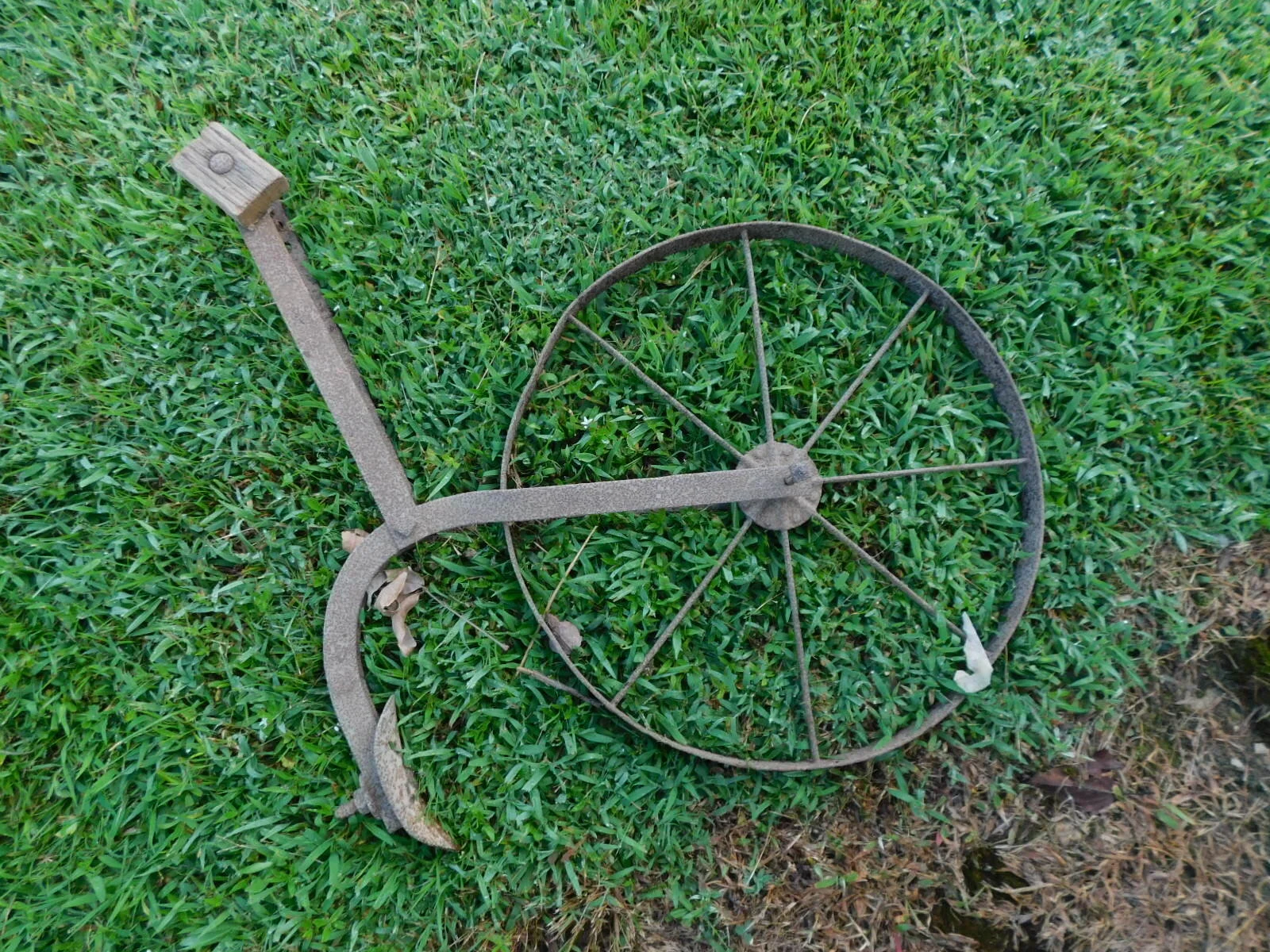 DSCN1695.JPG