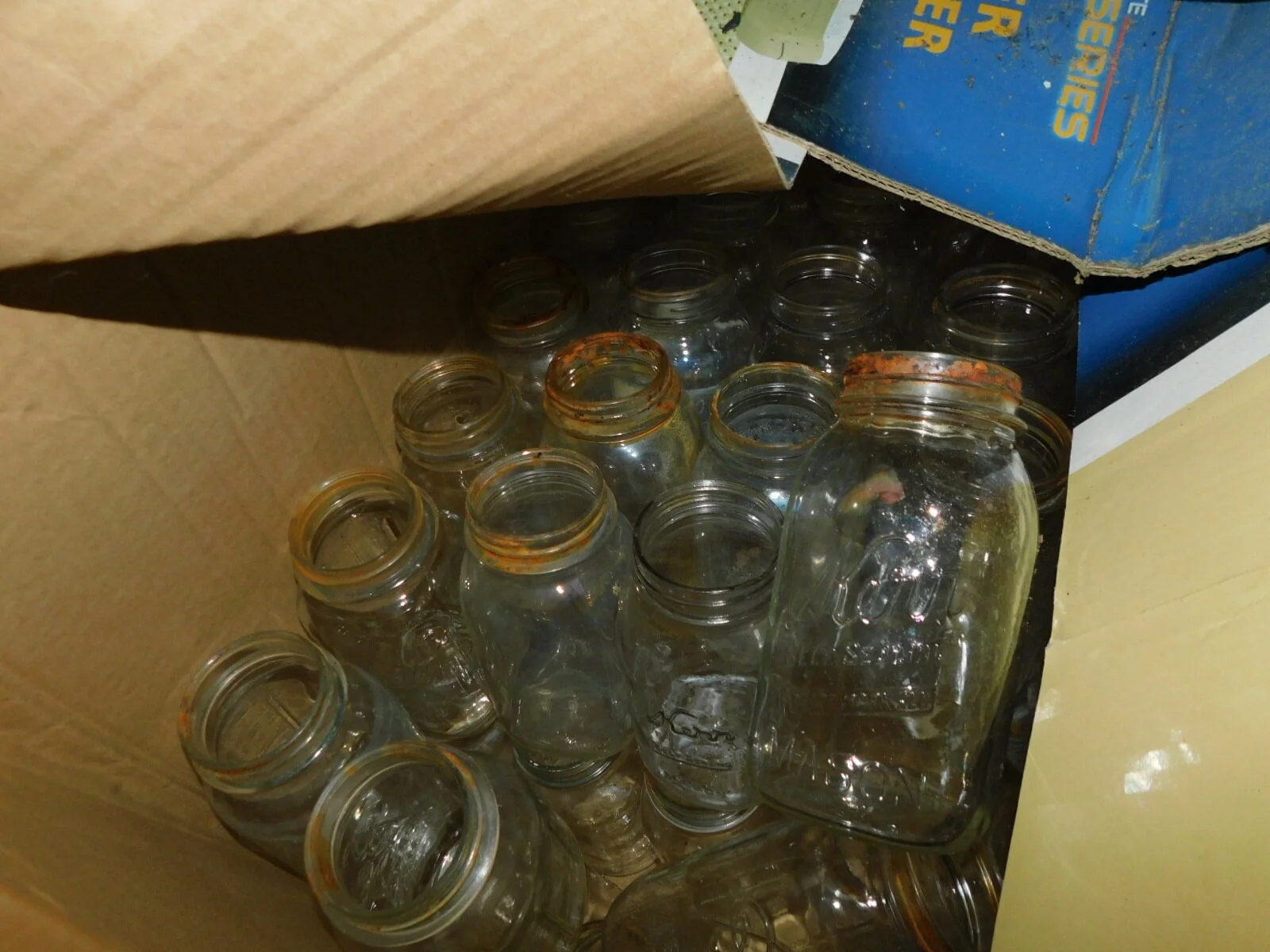DSCN1732.JPG