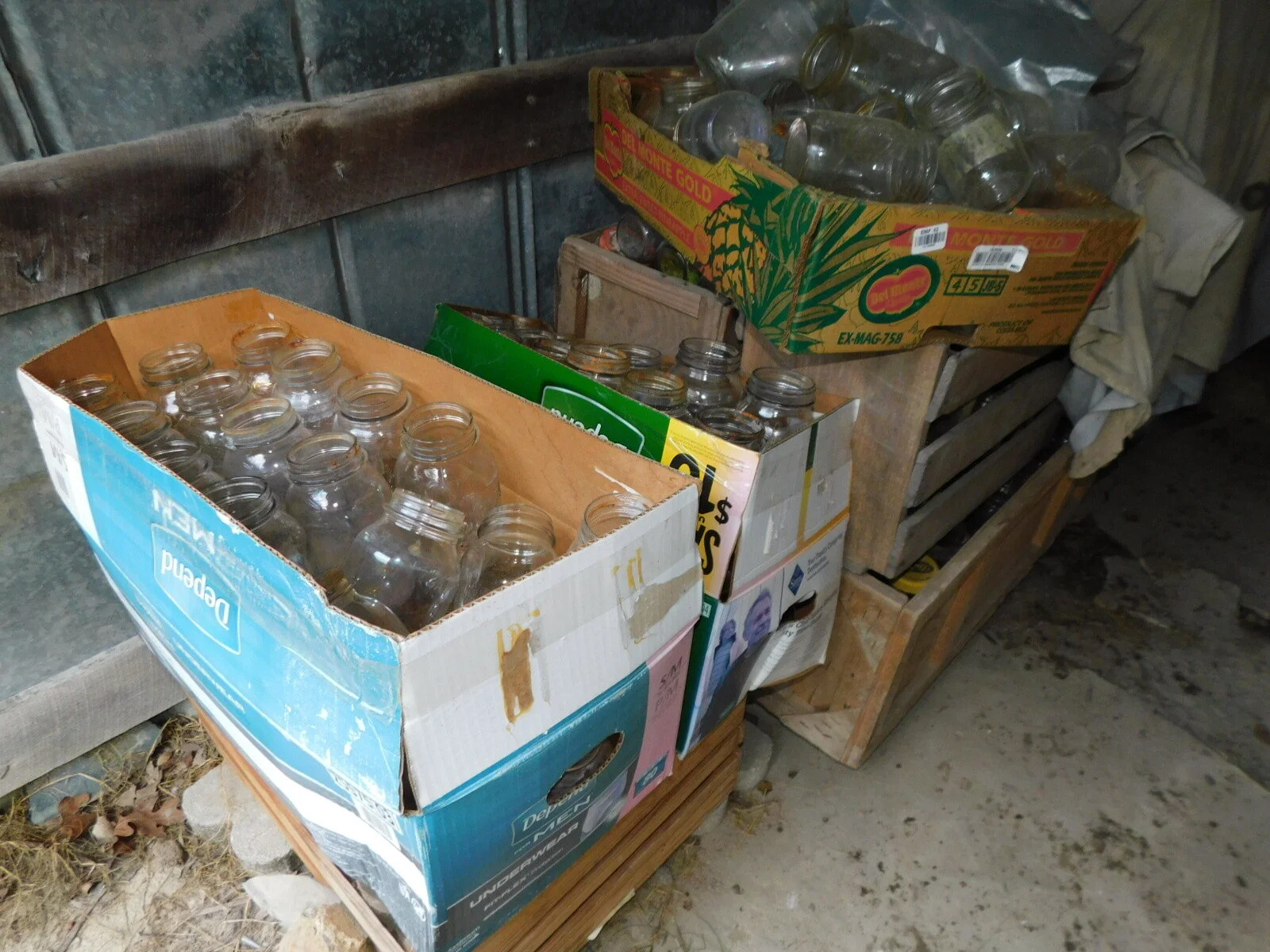 DSCN1734.JPG