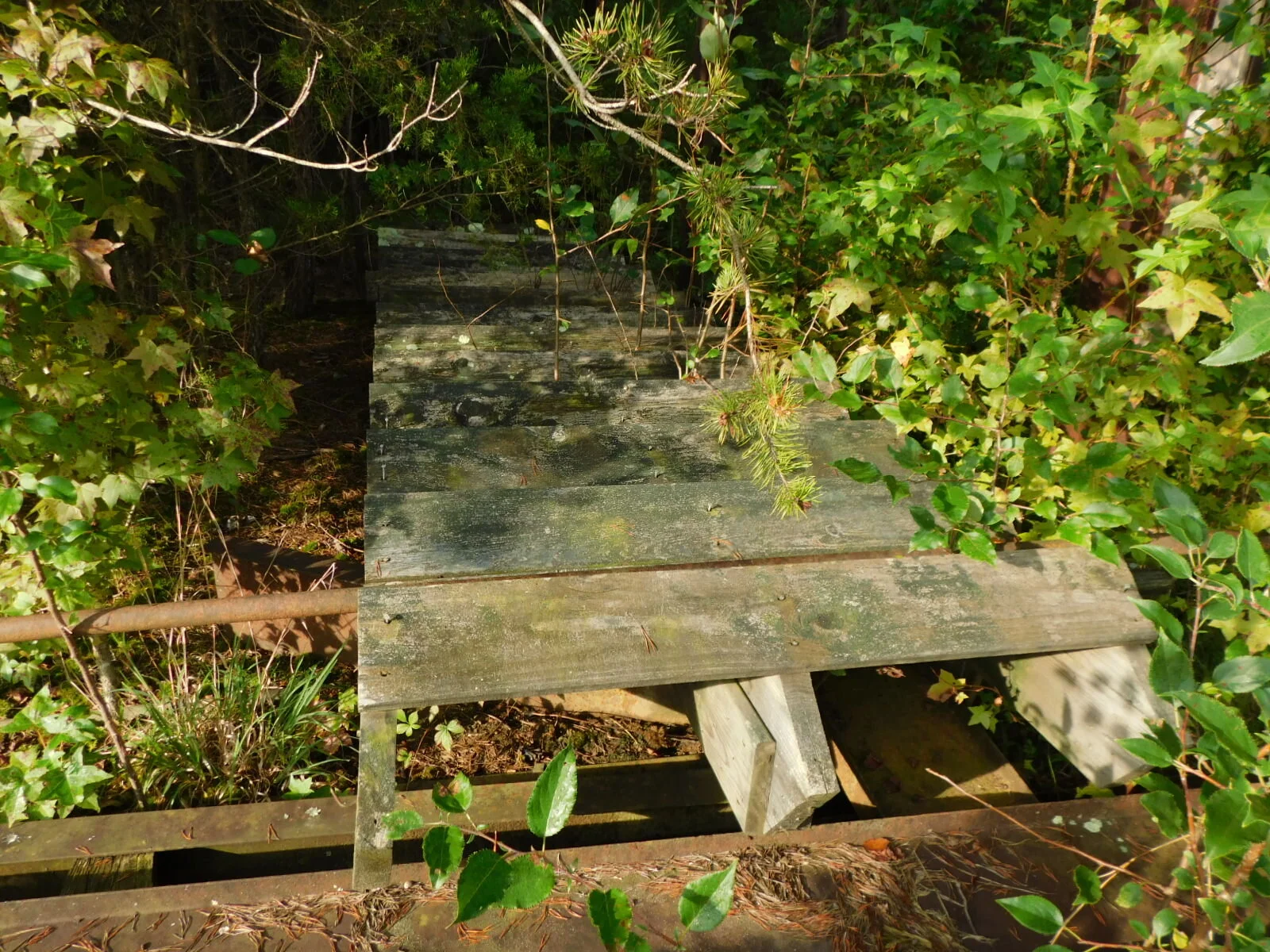 DSCN1797.JPG
