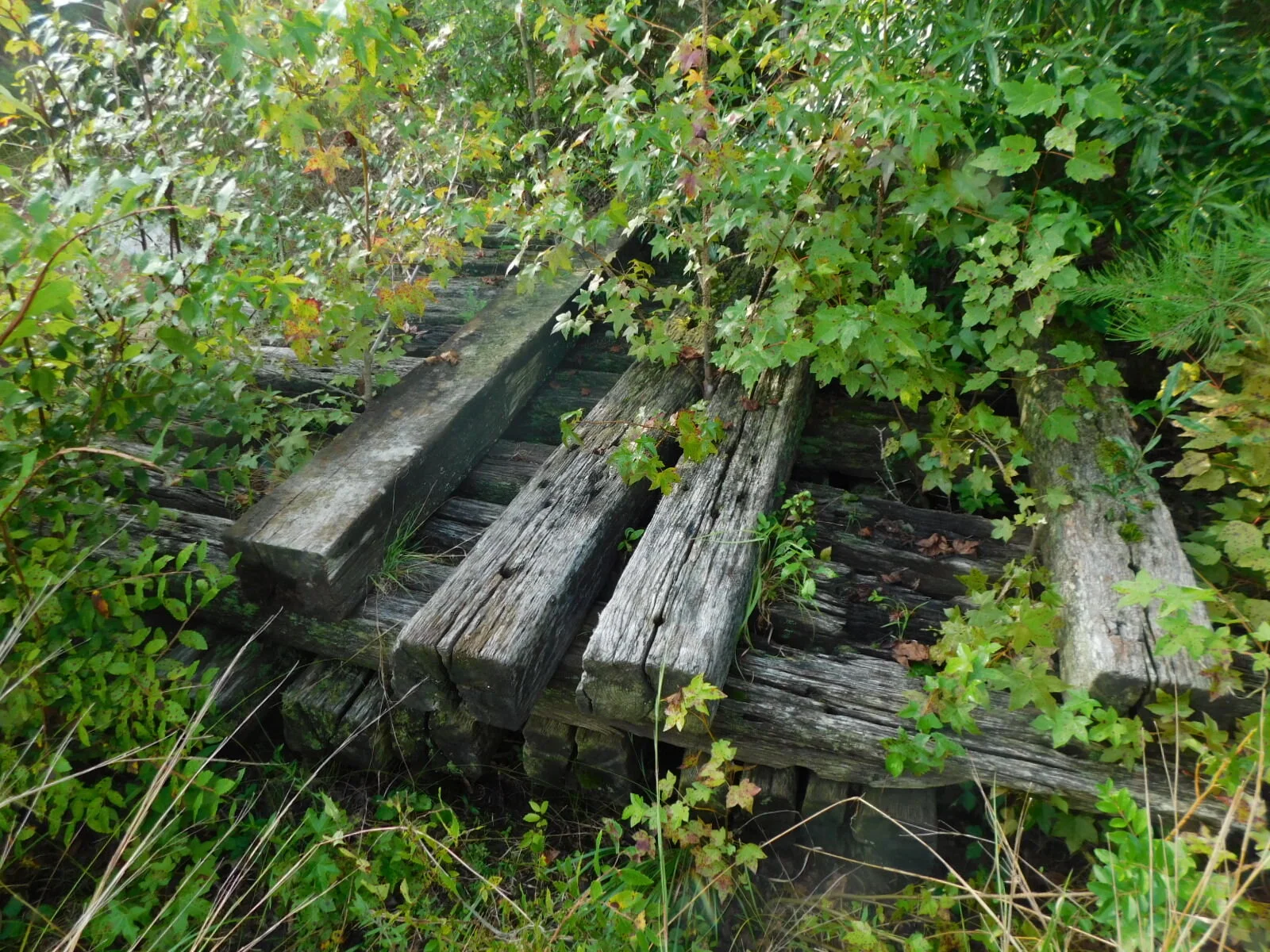 DSCN1804.JPG