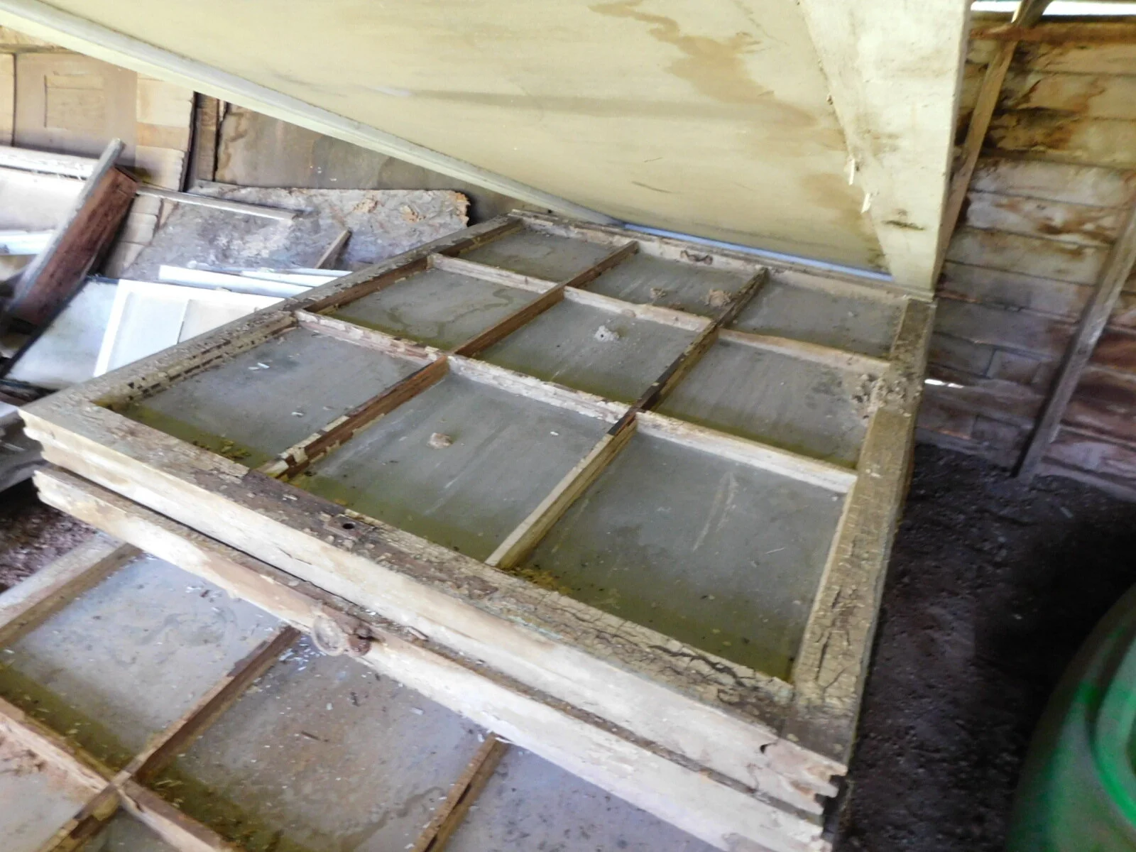 DSCN1807.JPG