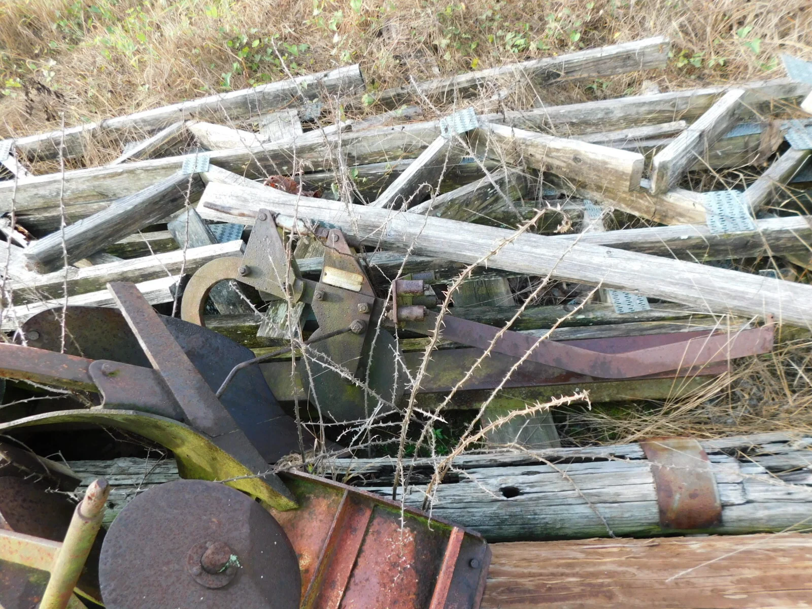 DSCN1836.JPG
