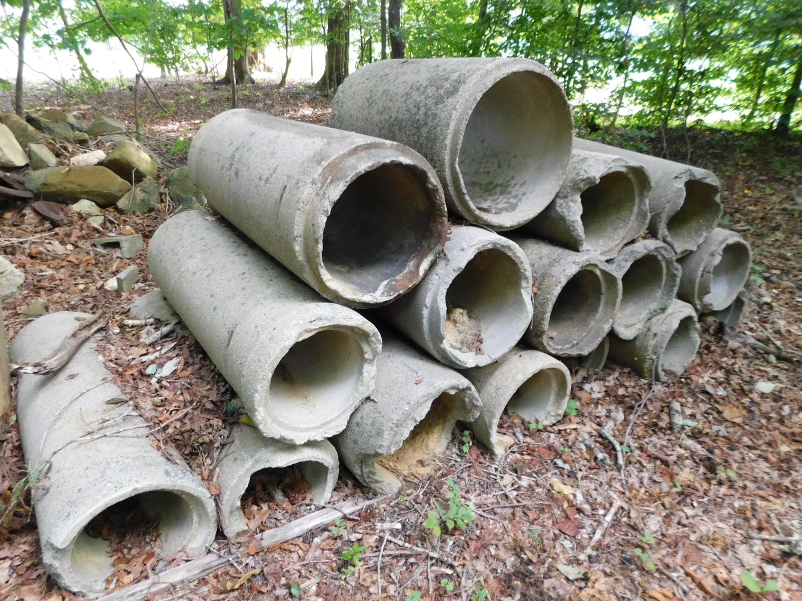 DSCN1861.JPG