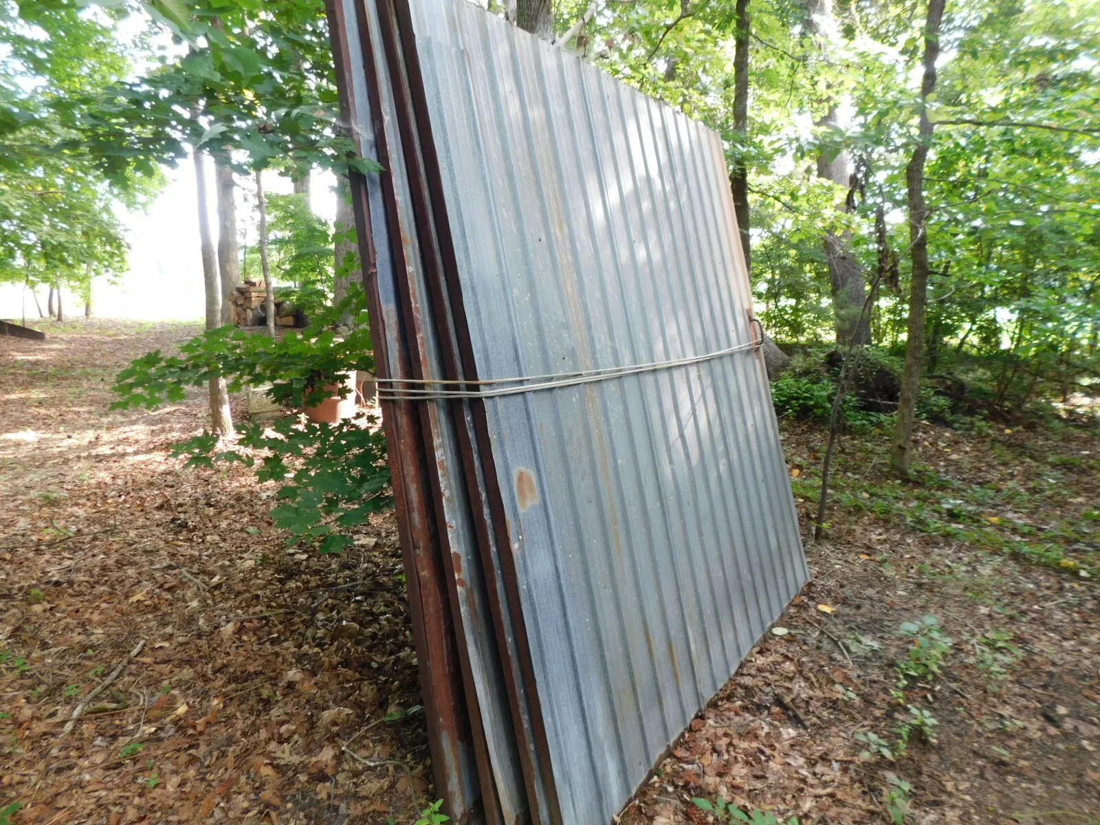 DSCN1862.JPG