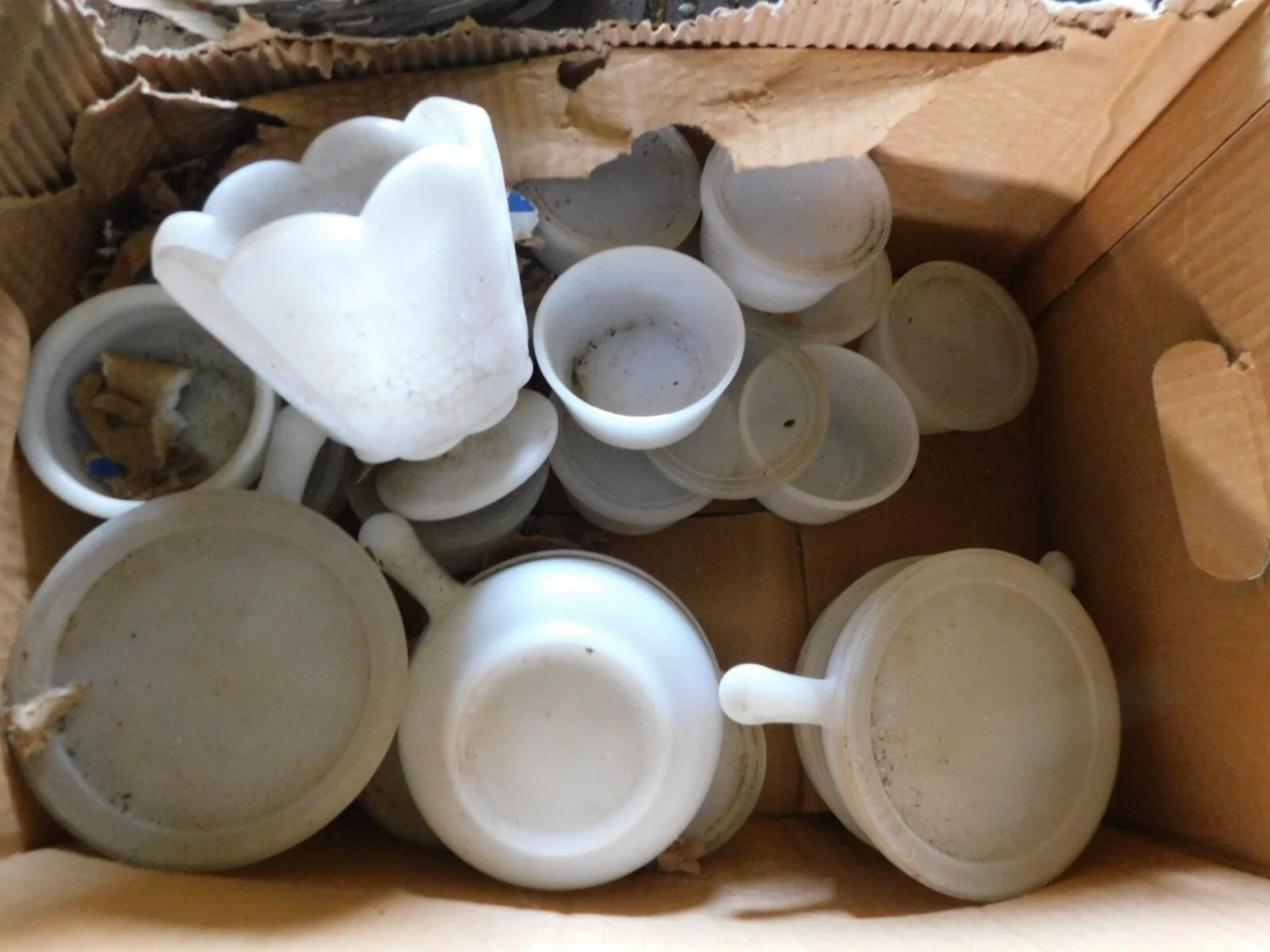 DSCN1896.JPG