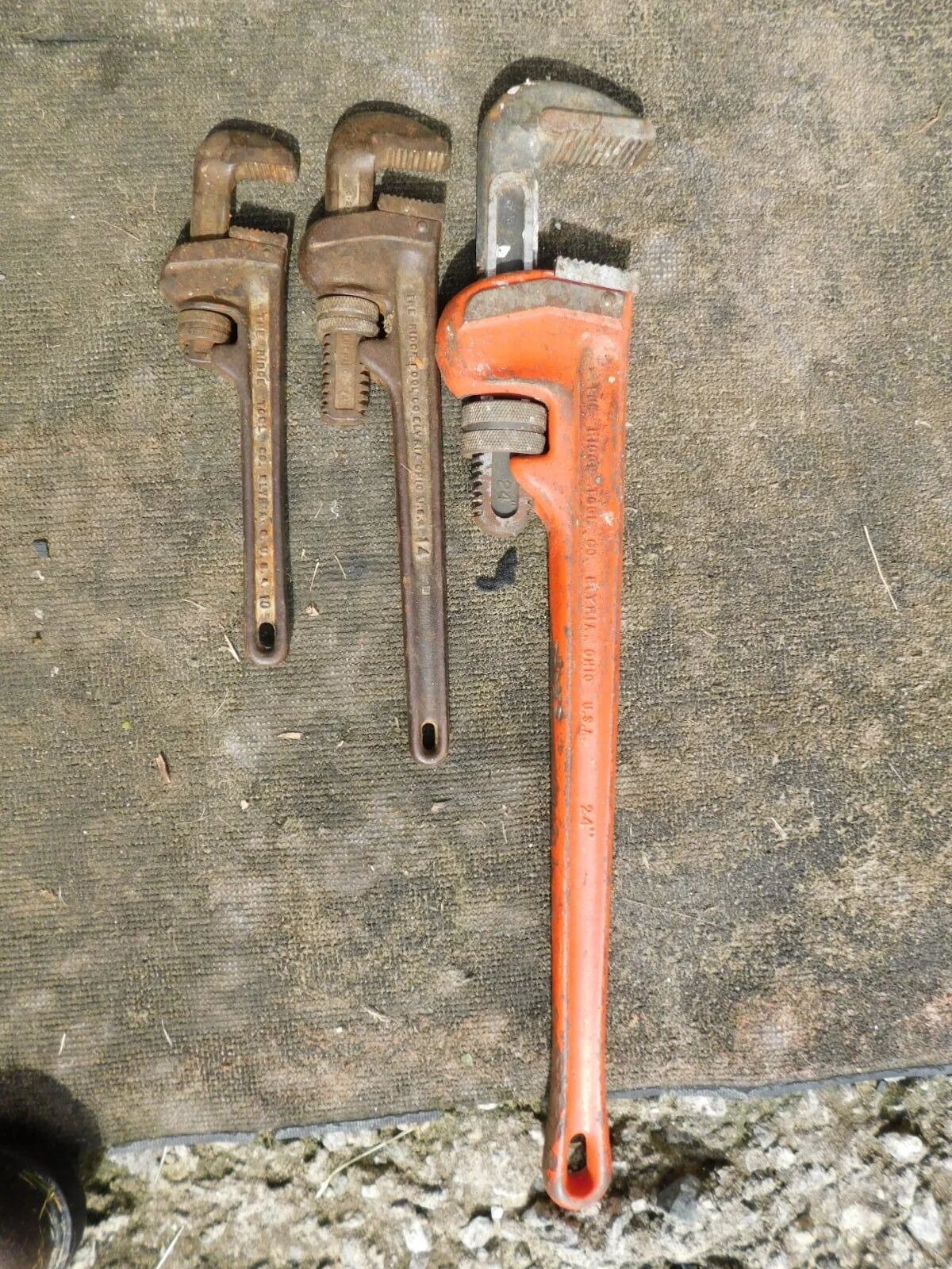 DSCN1964.JPG