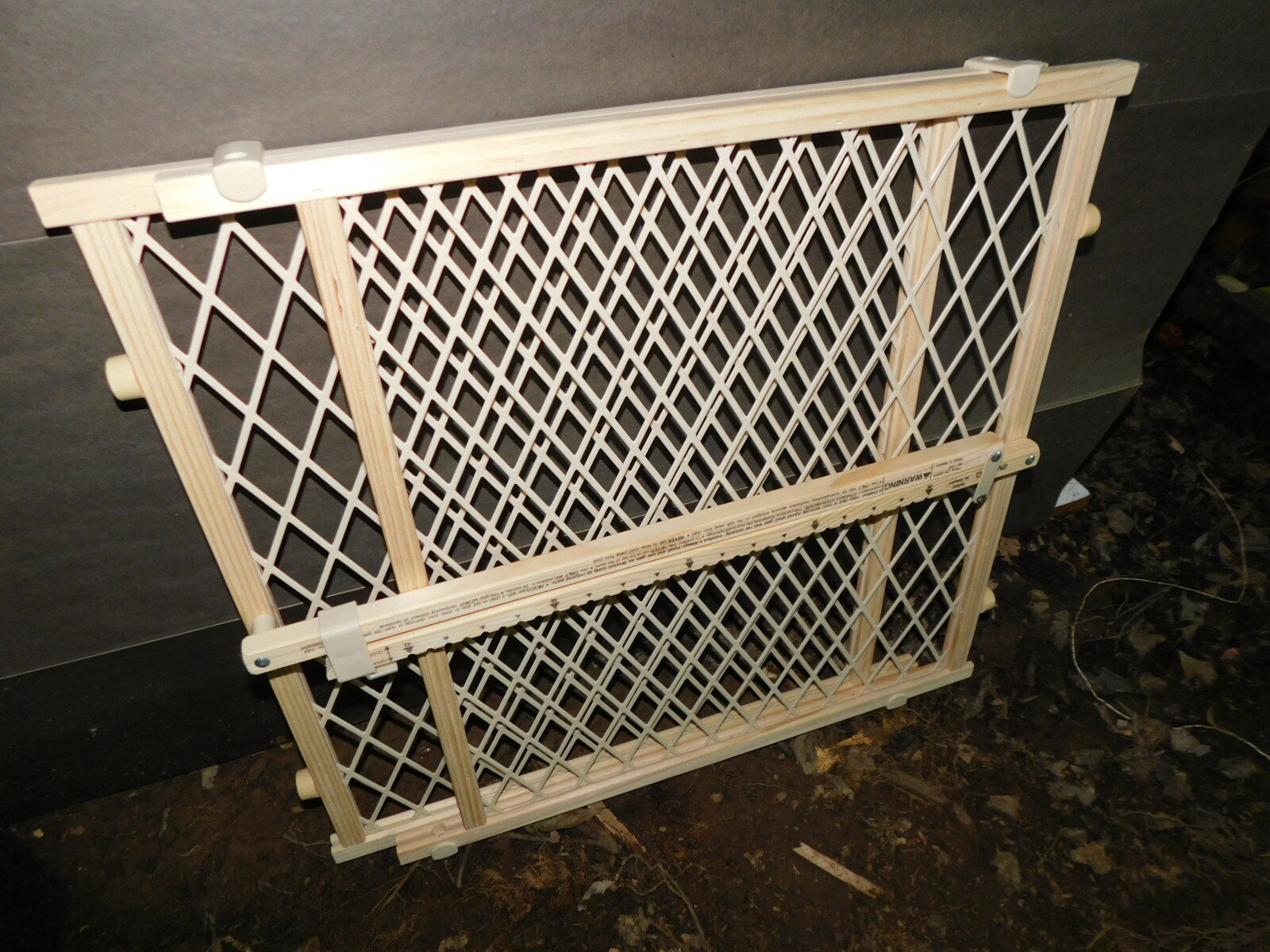DSCN2647.JPG