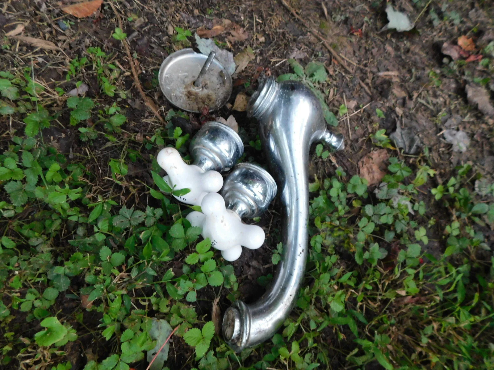 DSCN2676.JPG