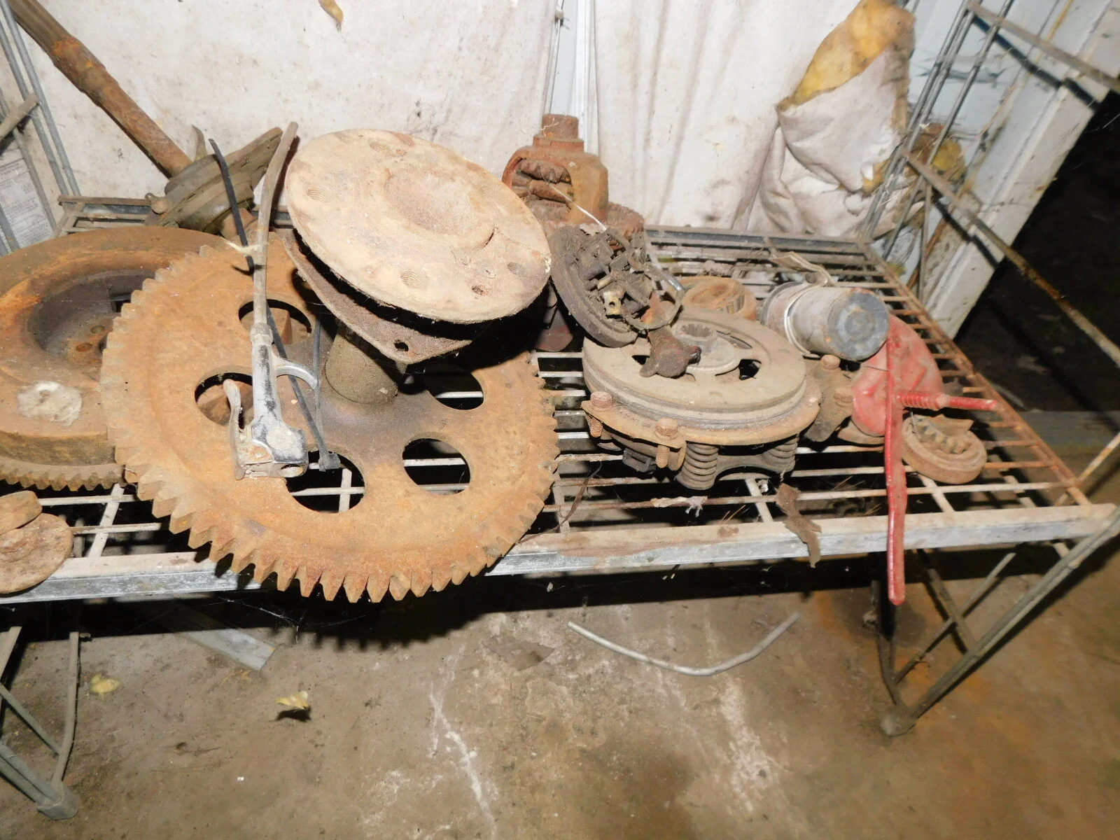 DSCN2716.JPG