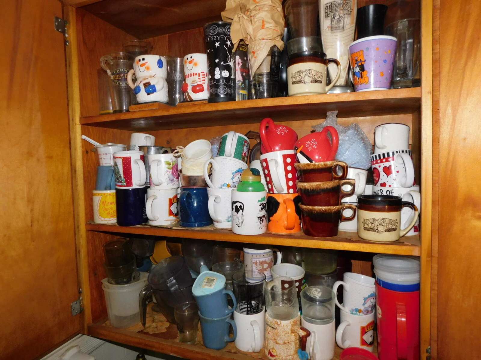 DSCN3094.JPG