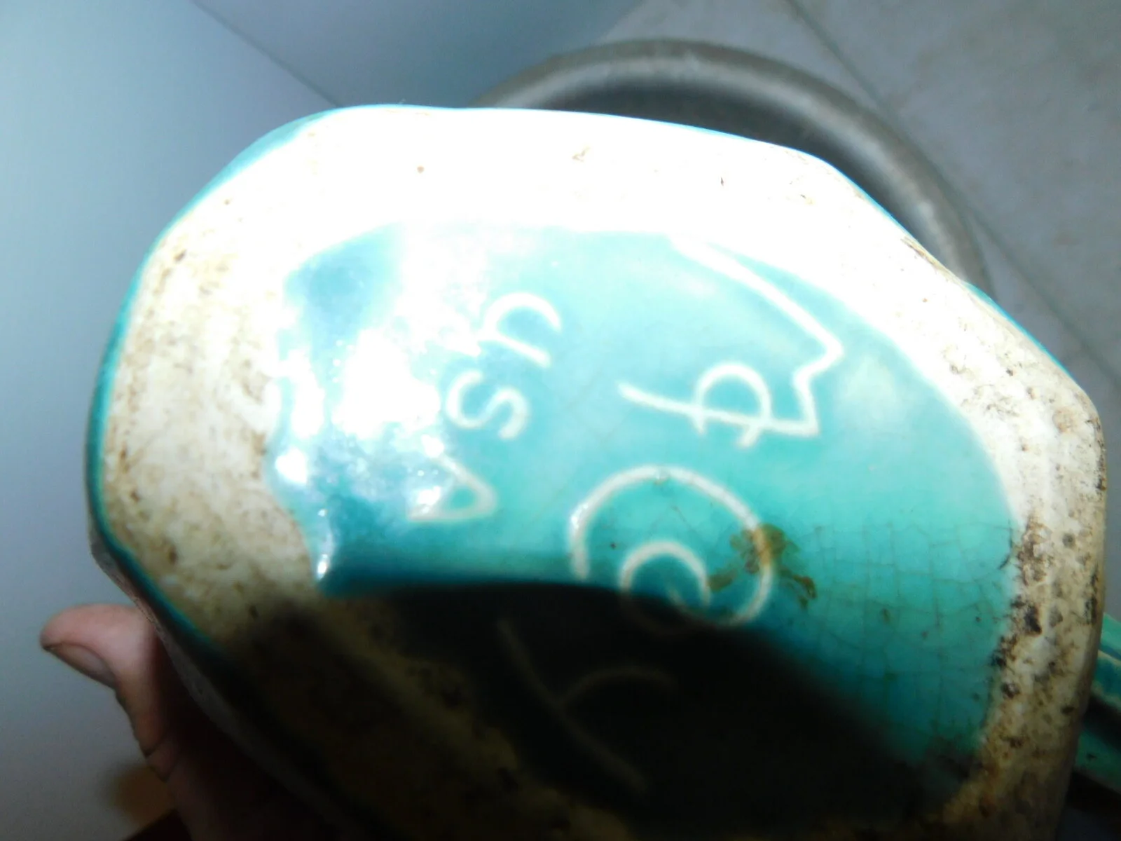 DSCN3106.JPG