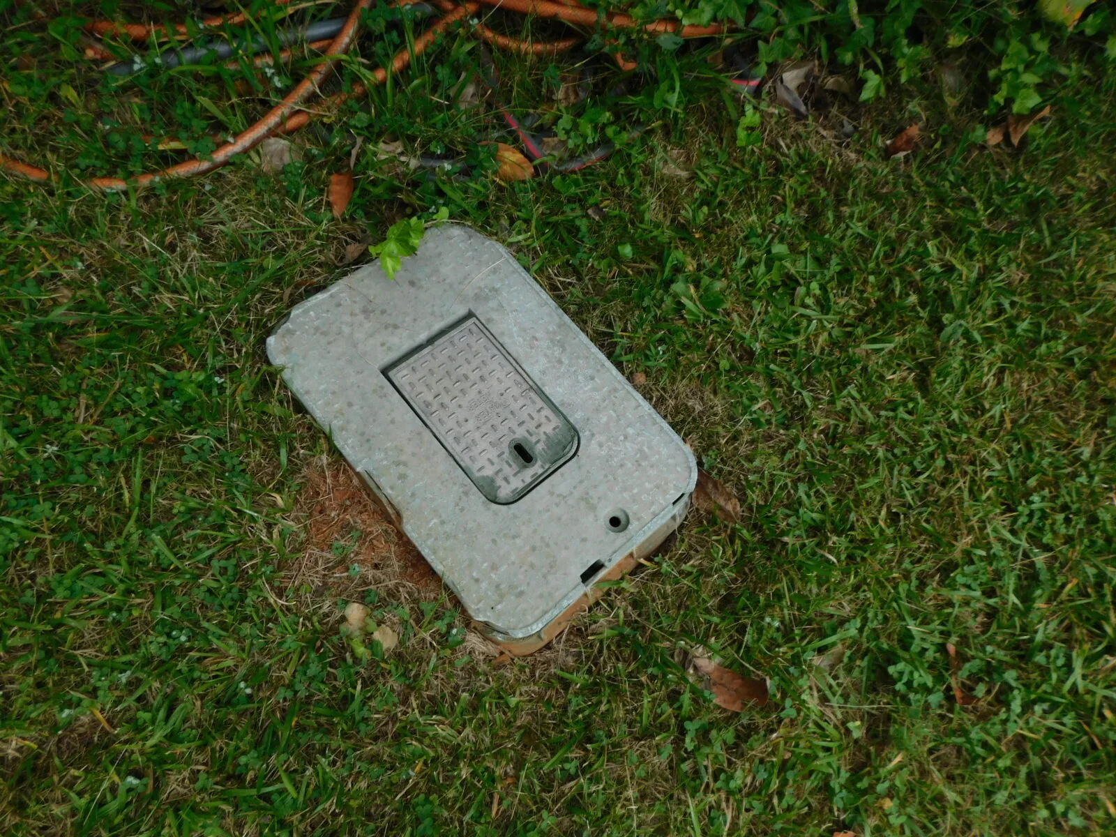 DSCN3146.JPG