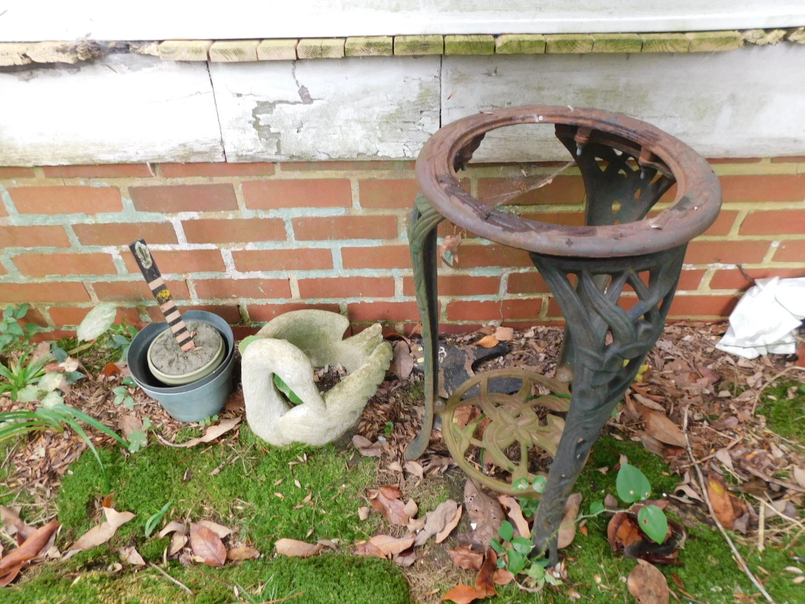 DSCN3147.JPG