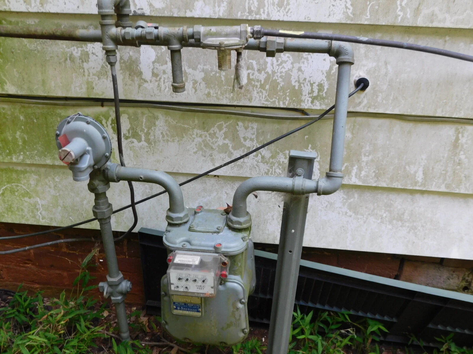 DSCN3492.JPG