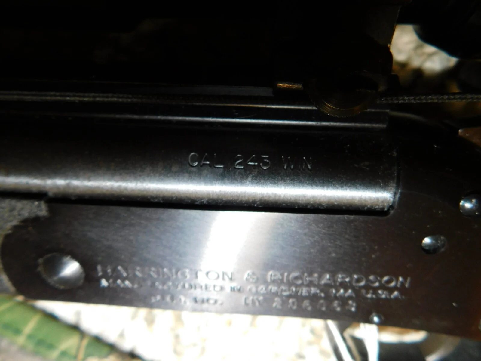 DSCN3658.JPG
