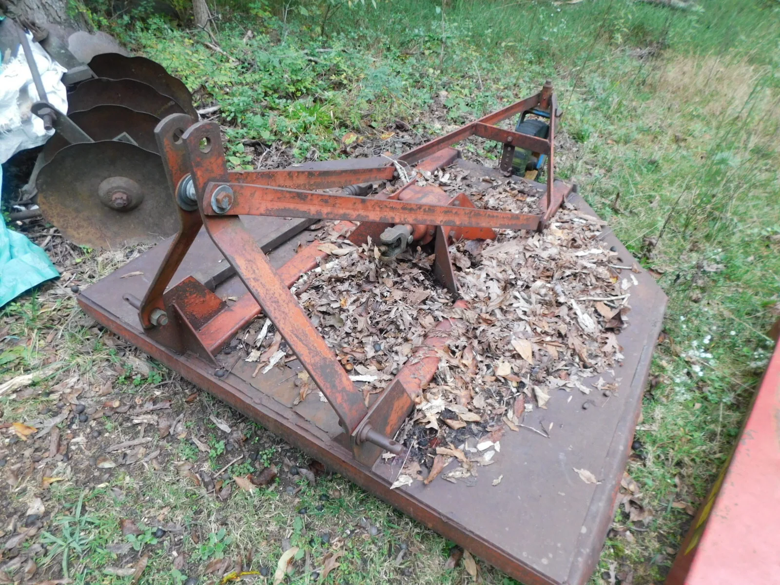 DSCN3750.JPG
