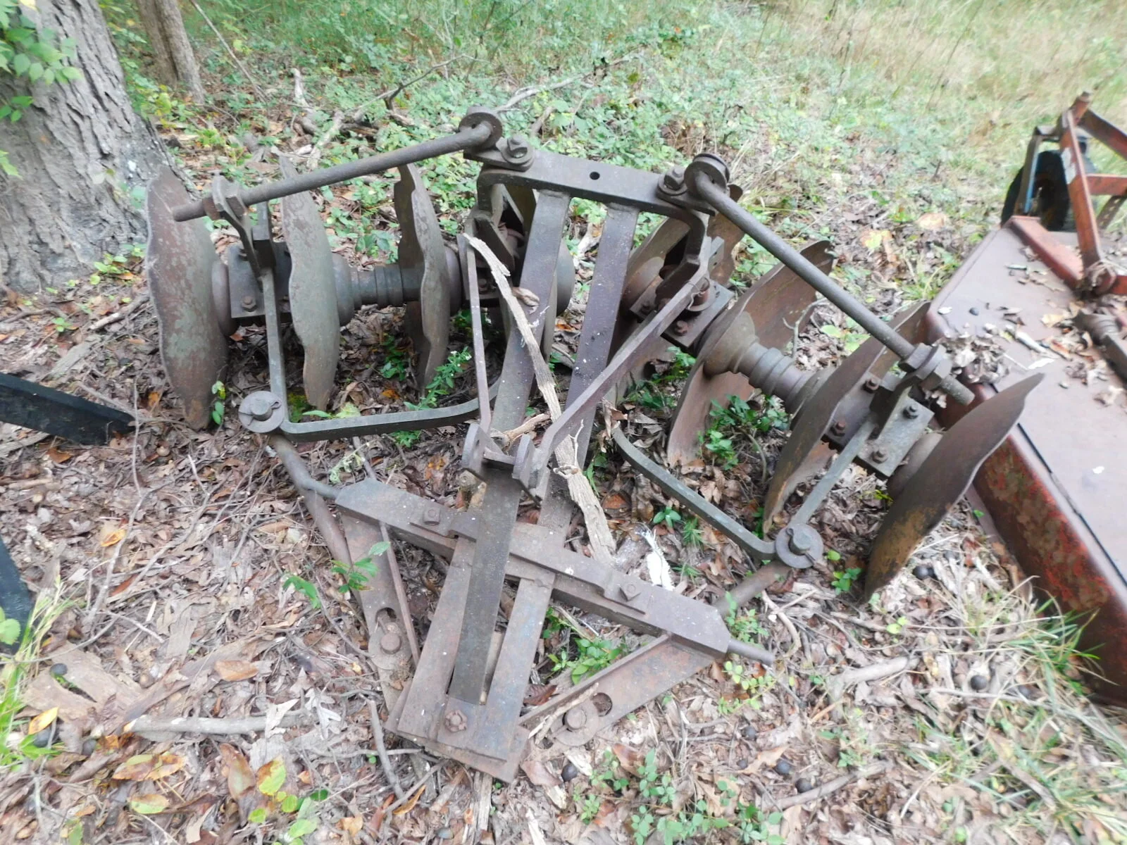 DSCN3751.JPG