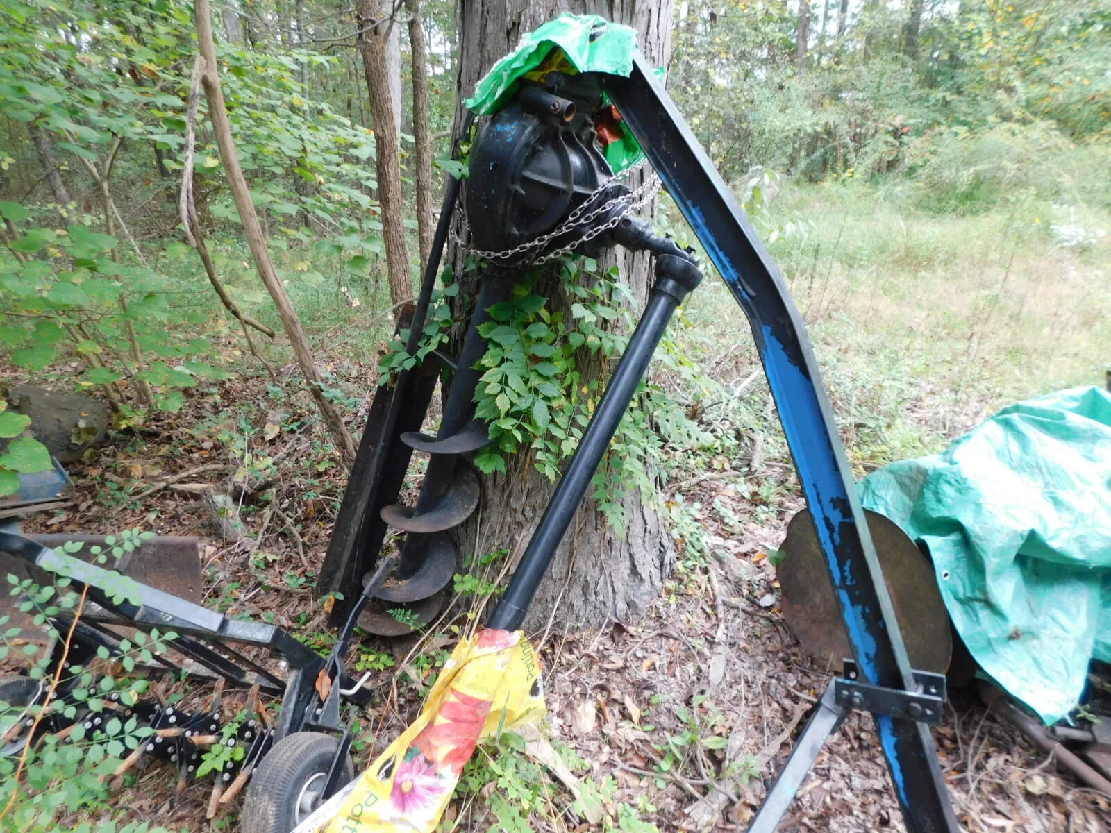 DSCN3752.JPG
