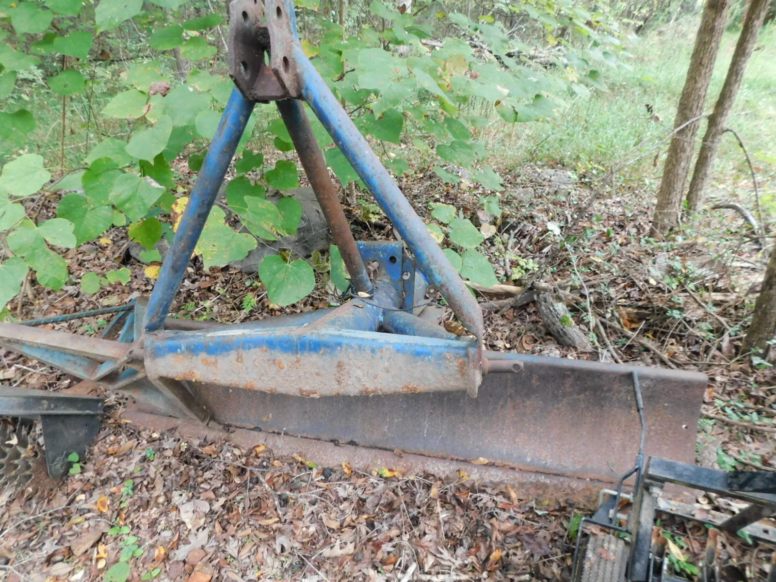 DSCN3754.JPG