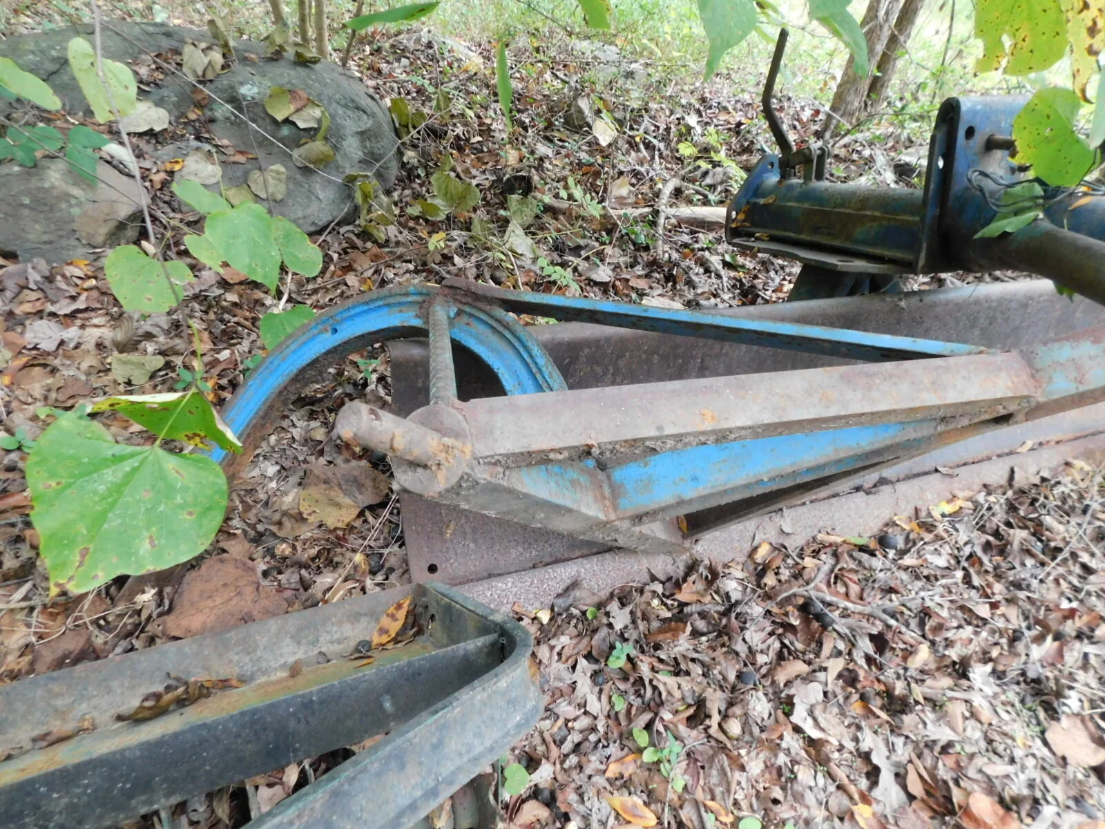 DSCN3755.JPG