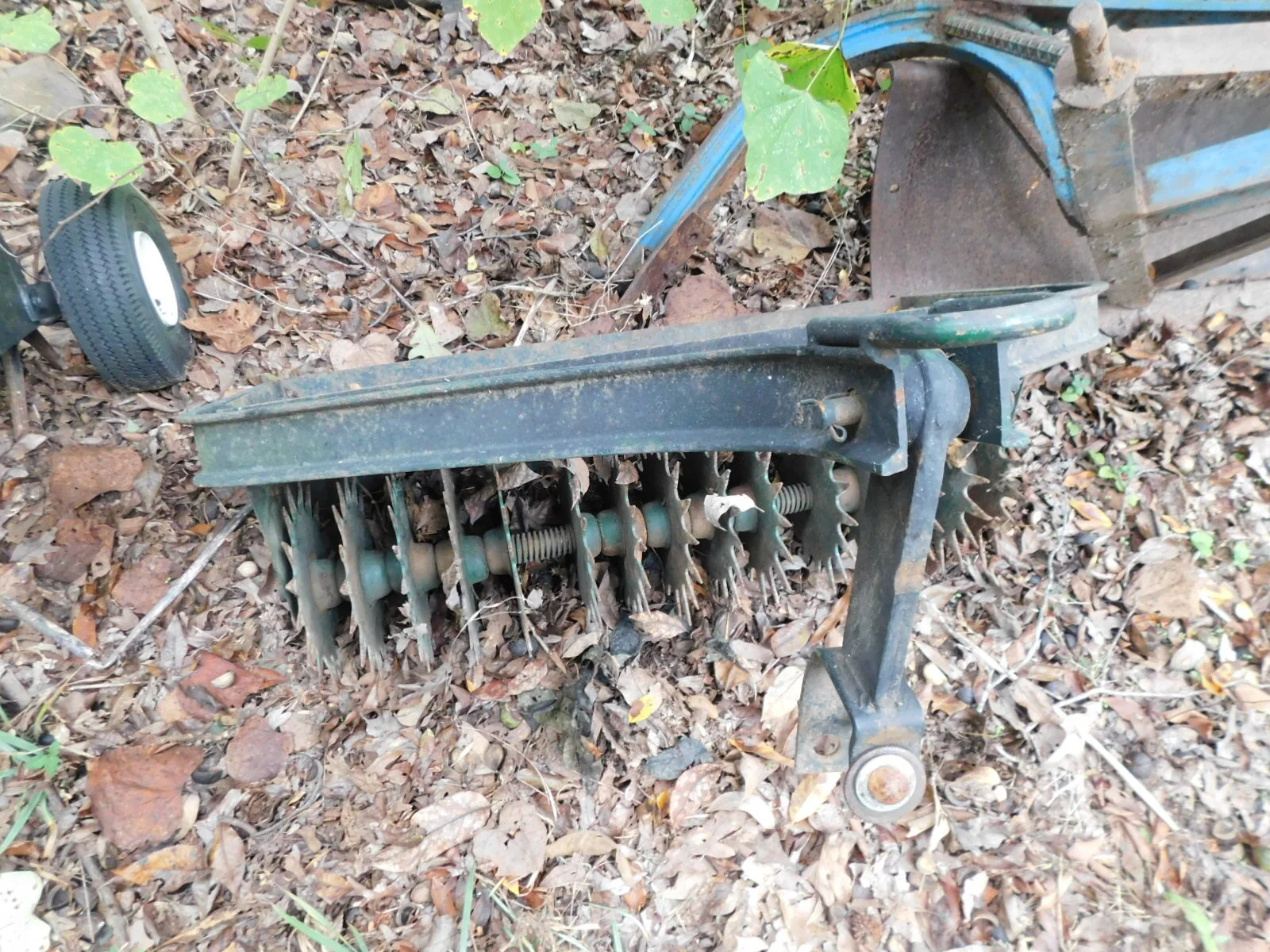 DSCN3756.JPG