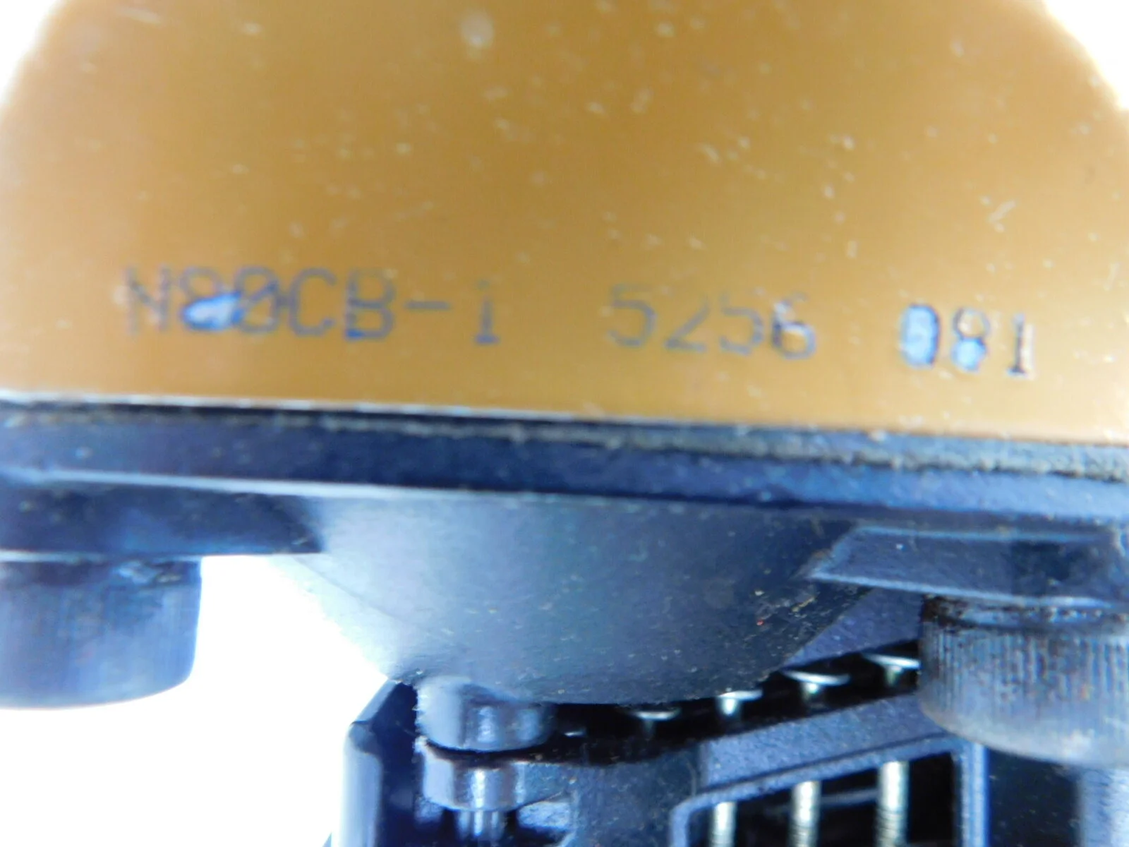 DSCN3818.JPG