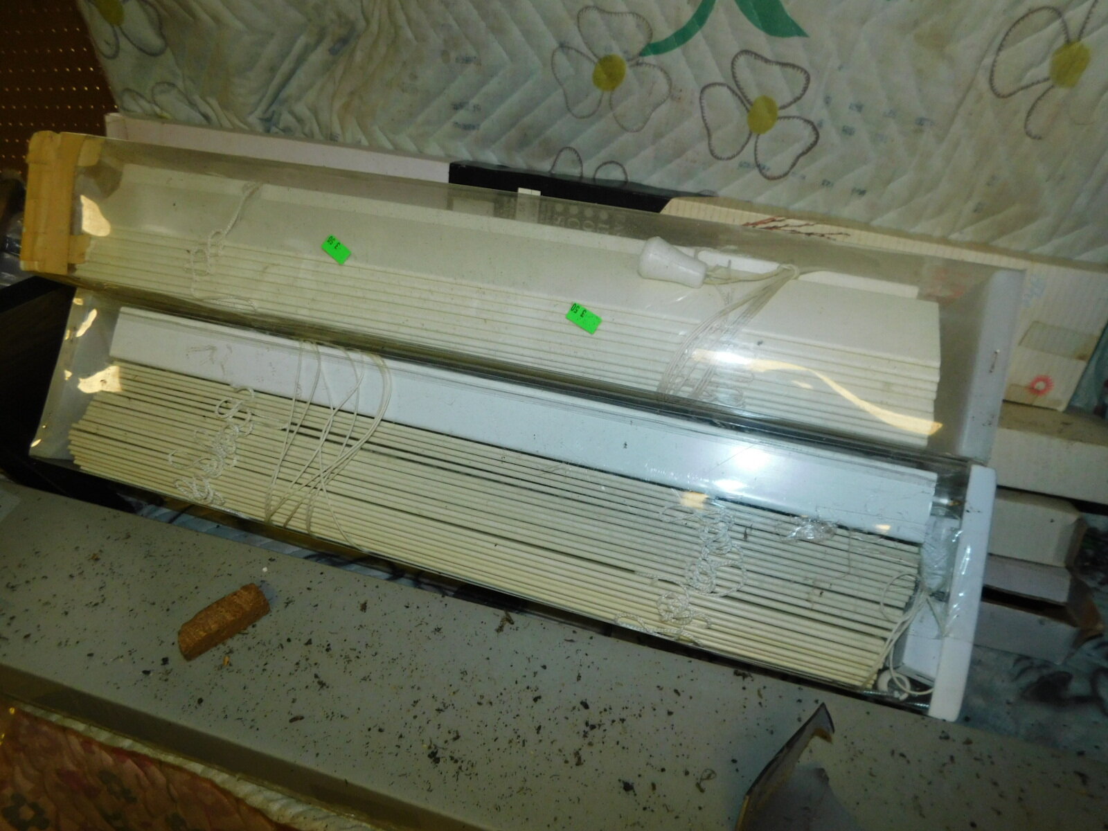 DSCN3938.JPG