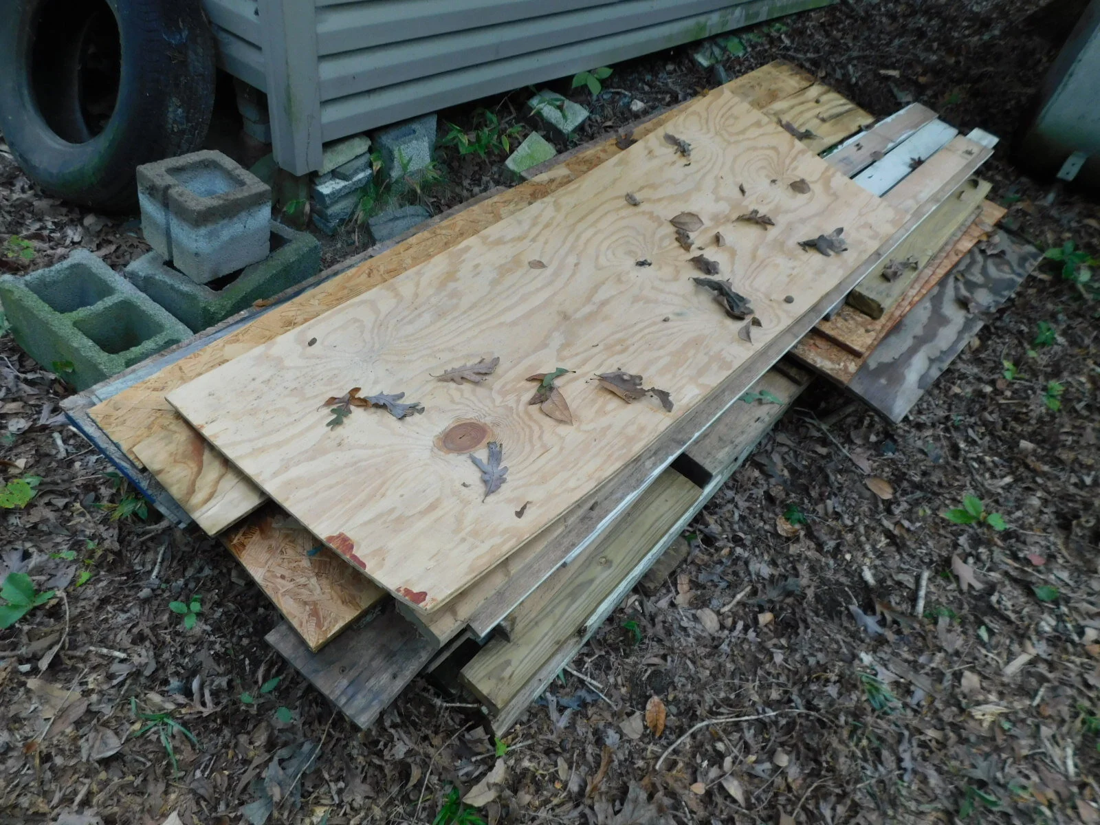 DSCN3988.JPG