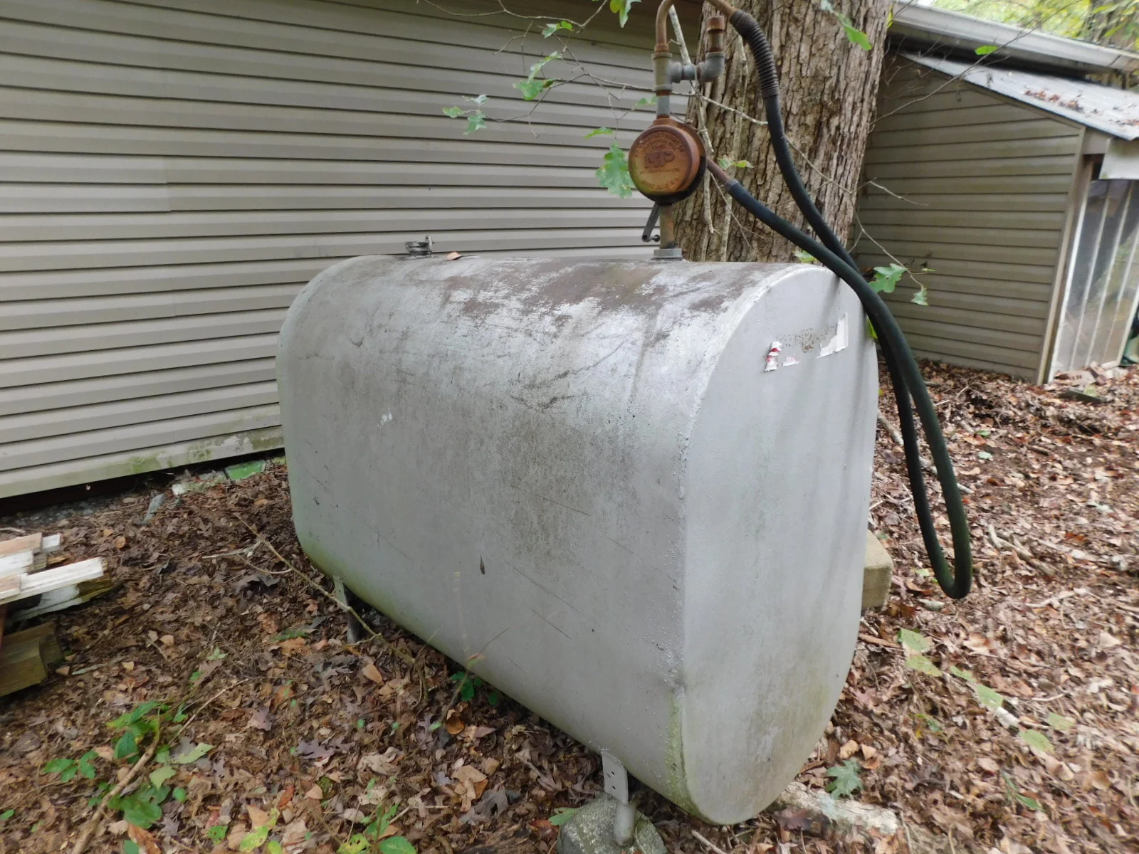DSCN3989.JPG