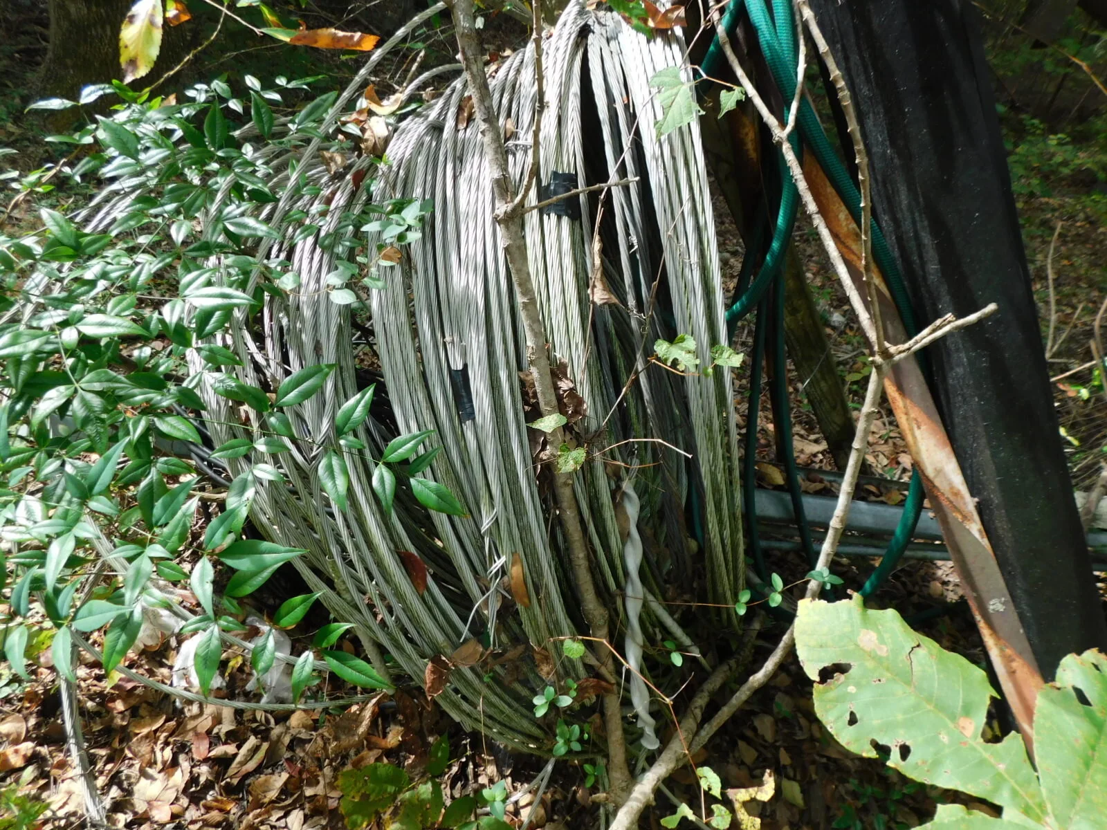 DSCN4005.JPG