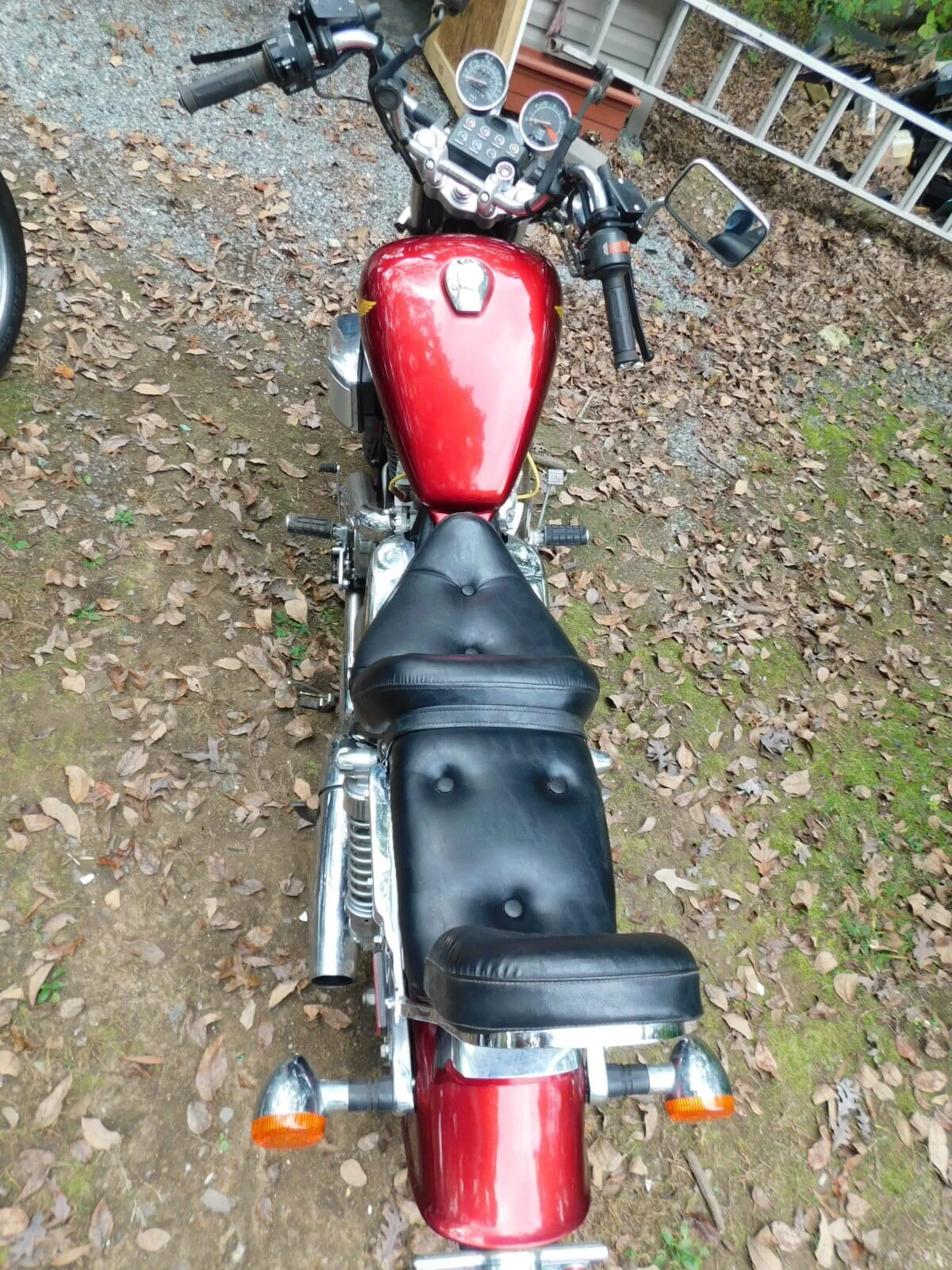 DSCN4036.JPG
