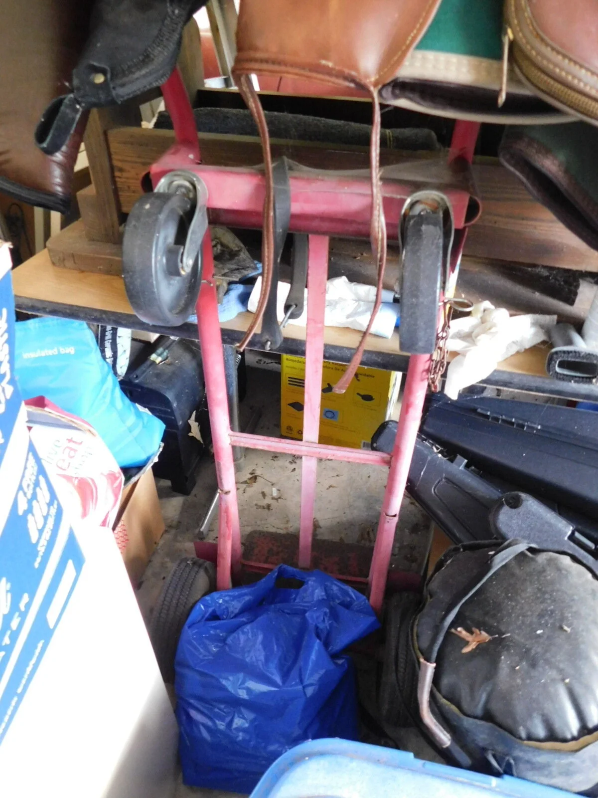 DSCN4225.JPG
