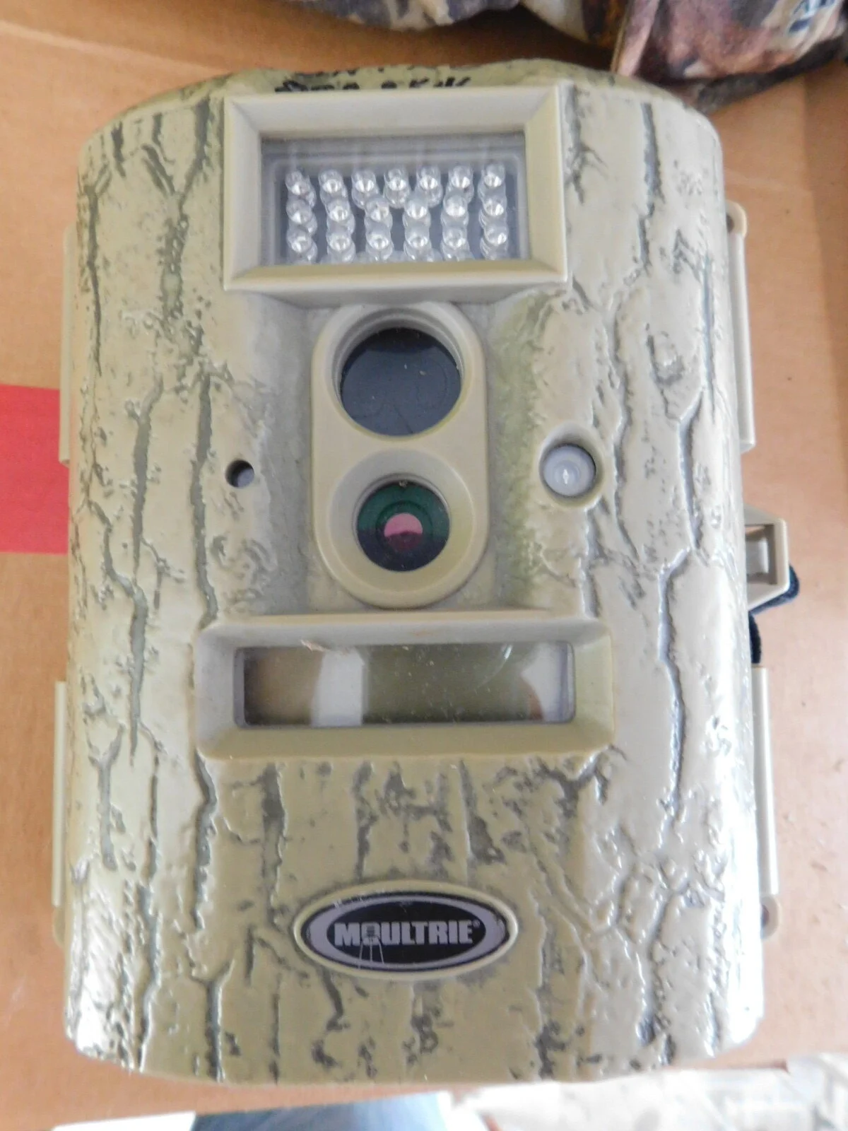 DSCN4227.JPG