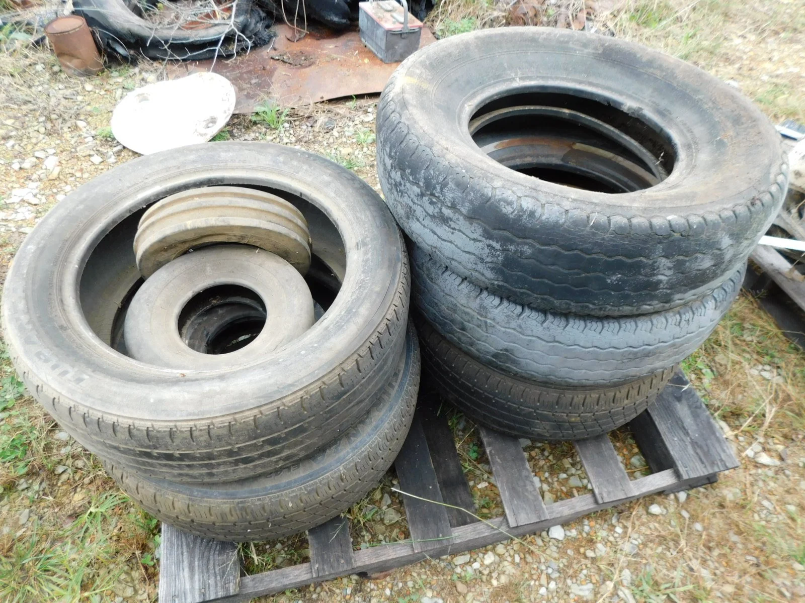 DSCN3510.JPG