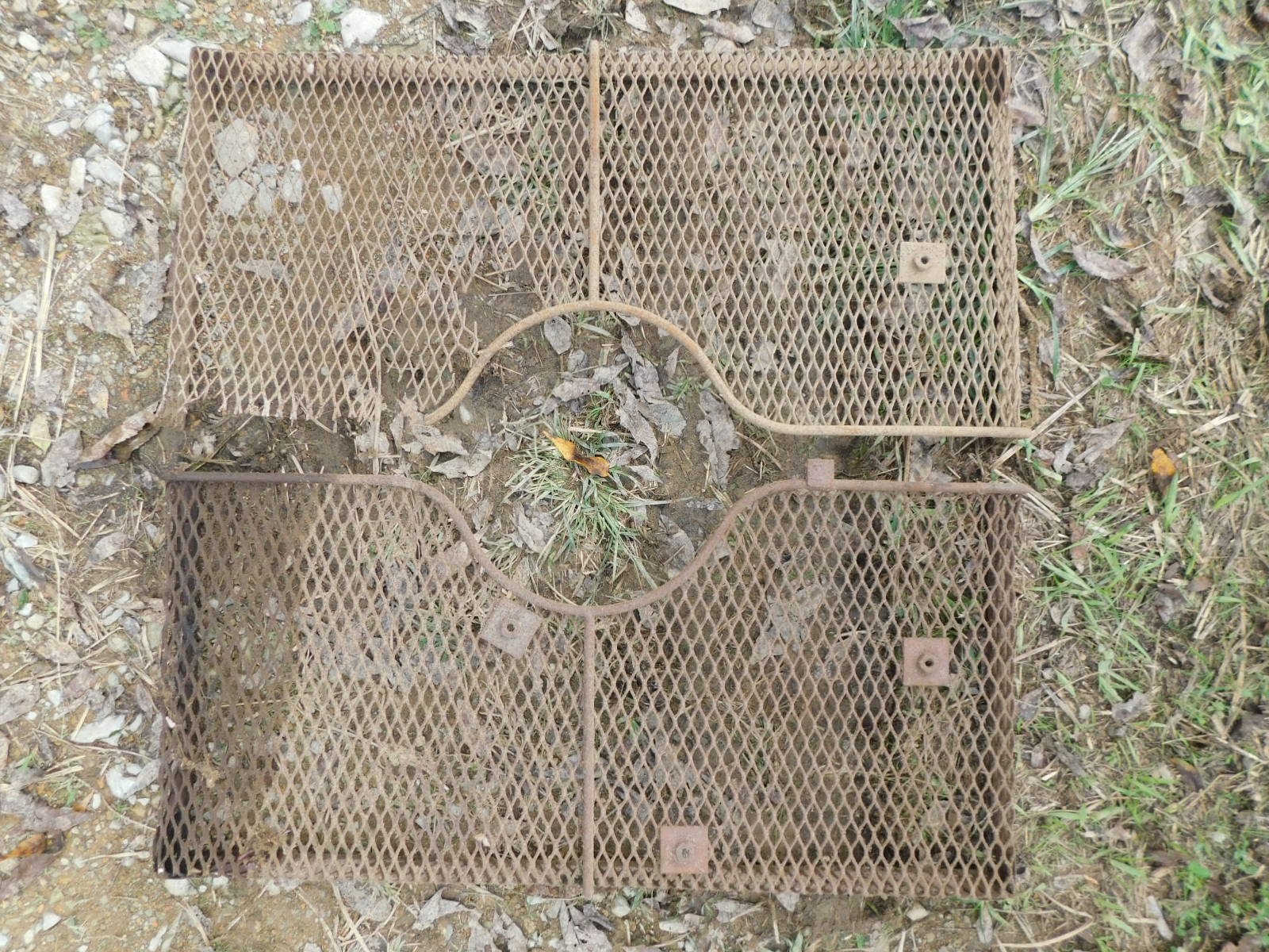 DSCN3528.JPG