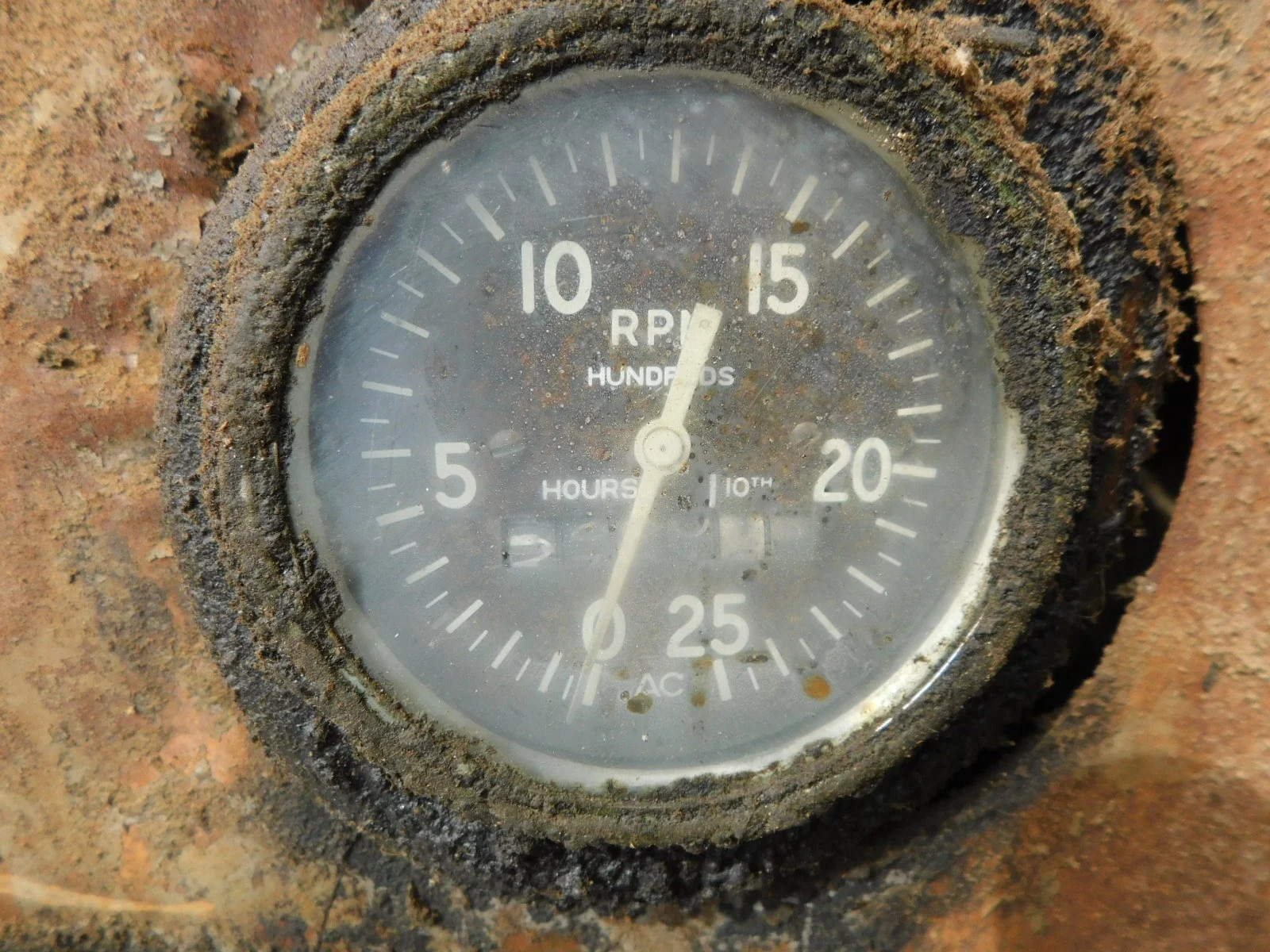 DSCN3533.JPG