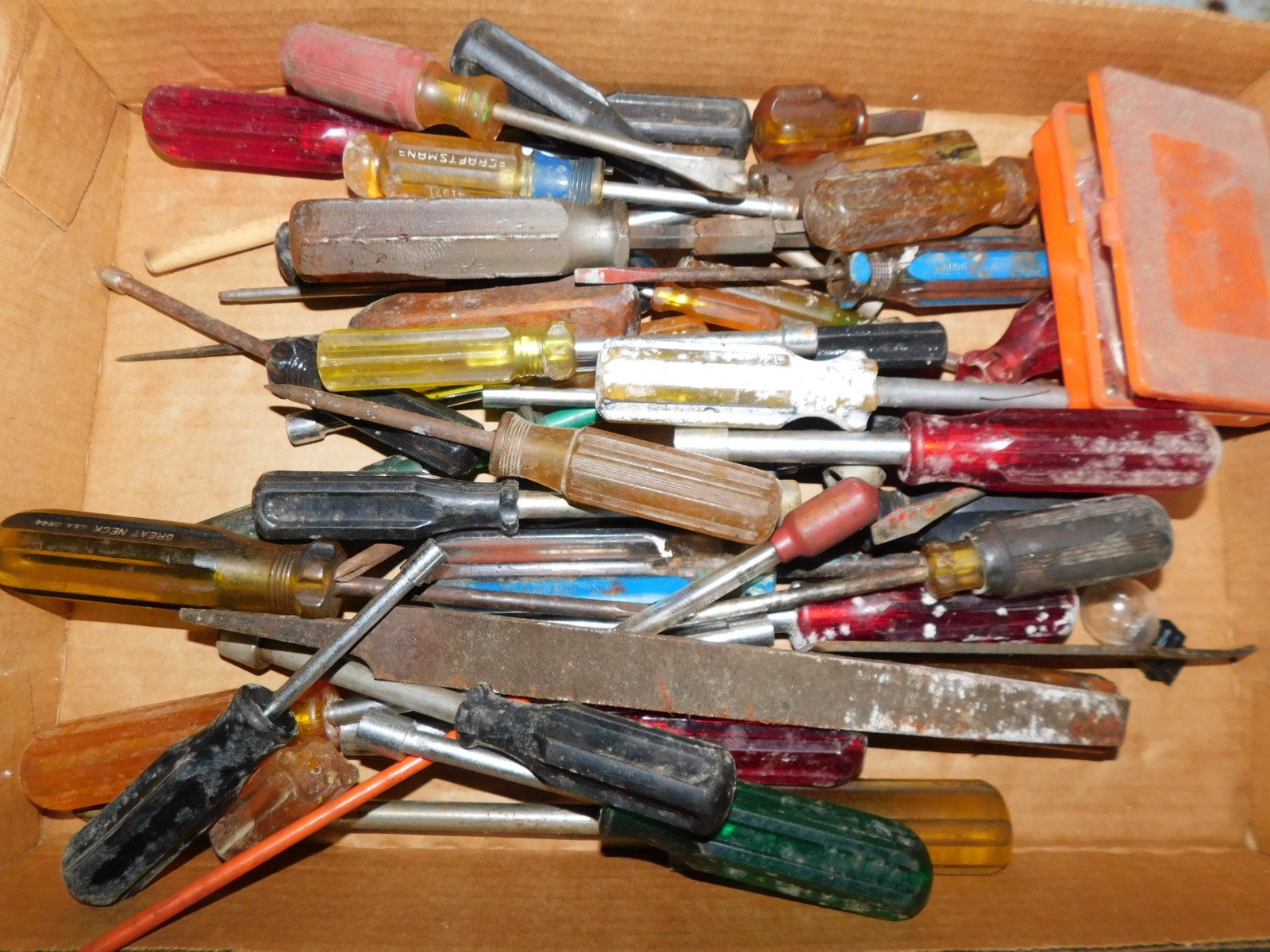 DSCN3539.JPG