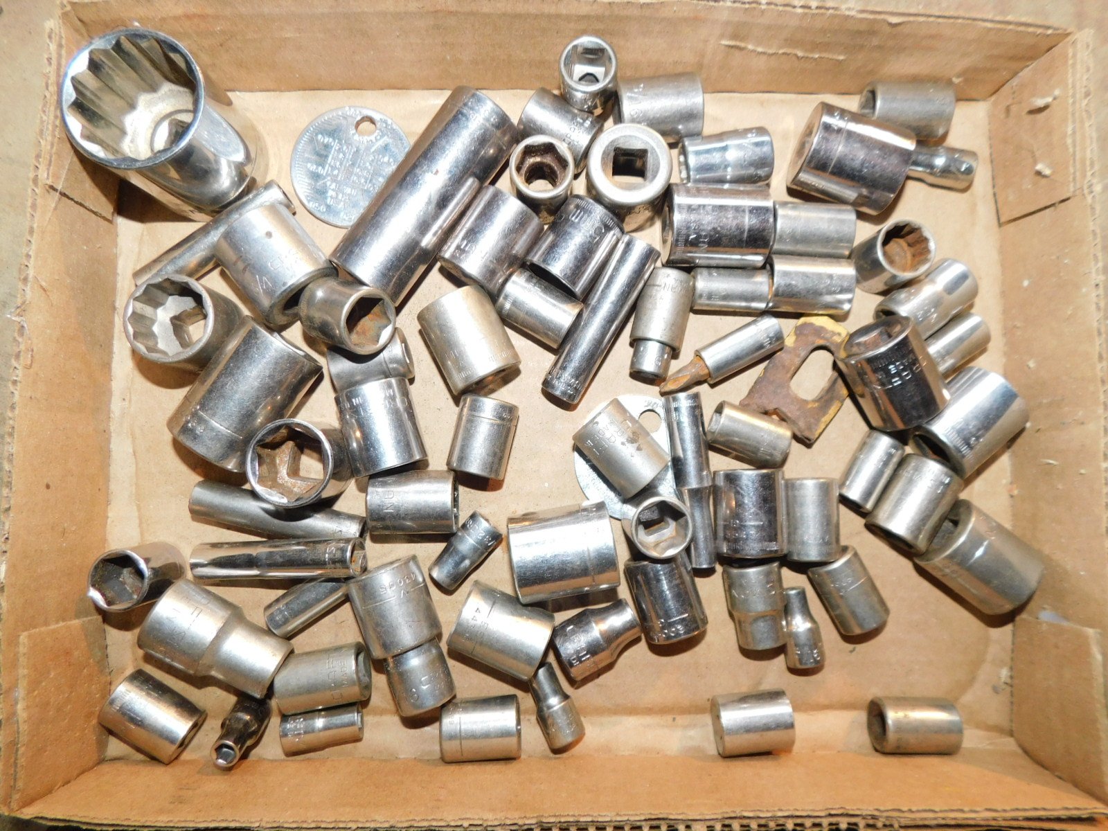 DSCN3593.JPG
