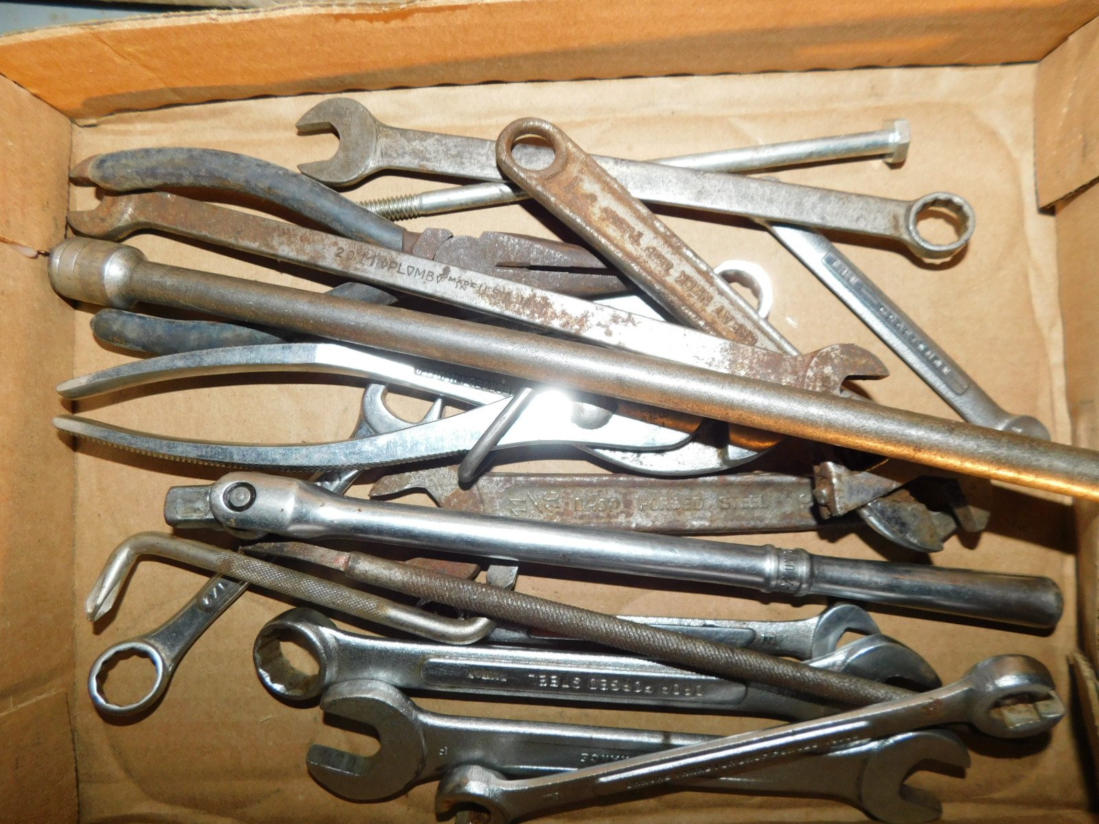 DSCN3625.JPG