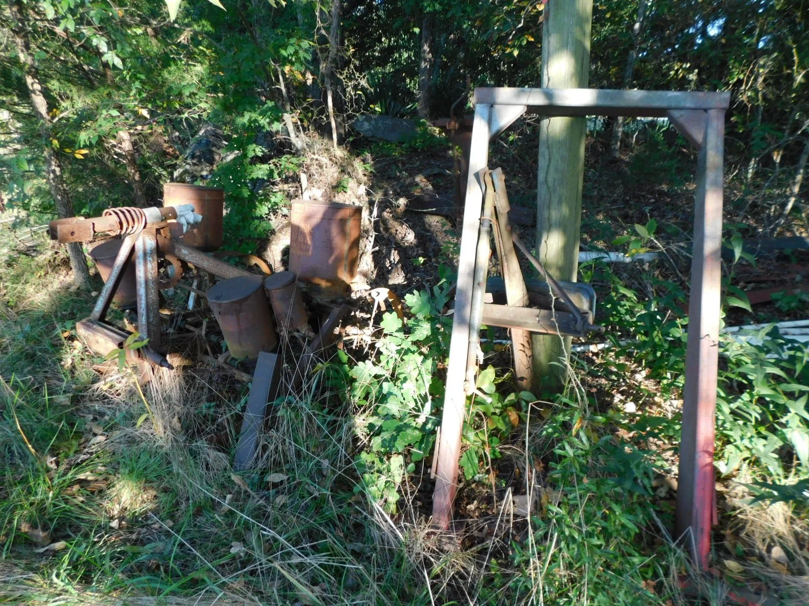 DSCN4244.JPG
