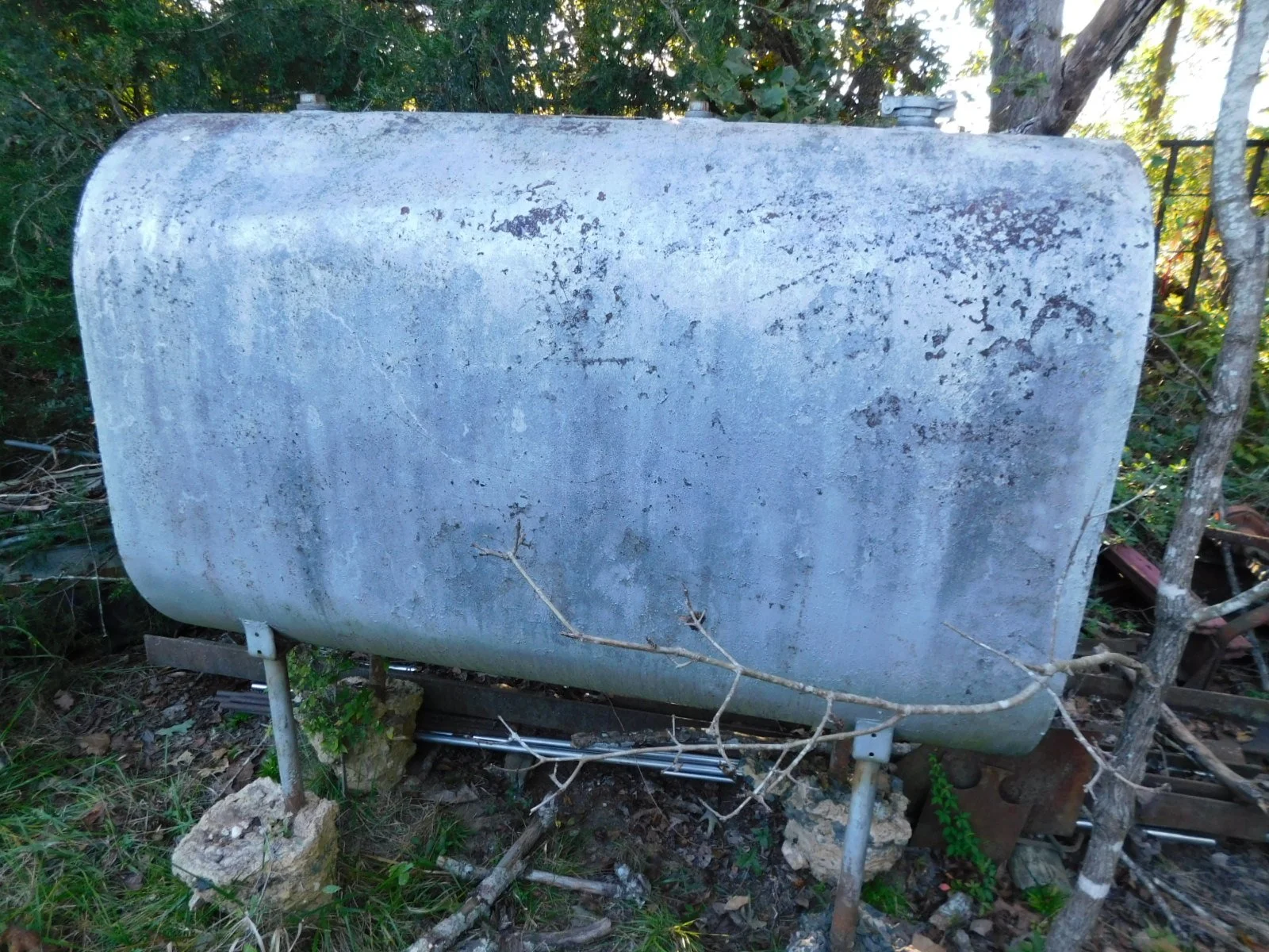 DSCN4248.JPG