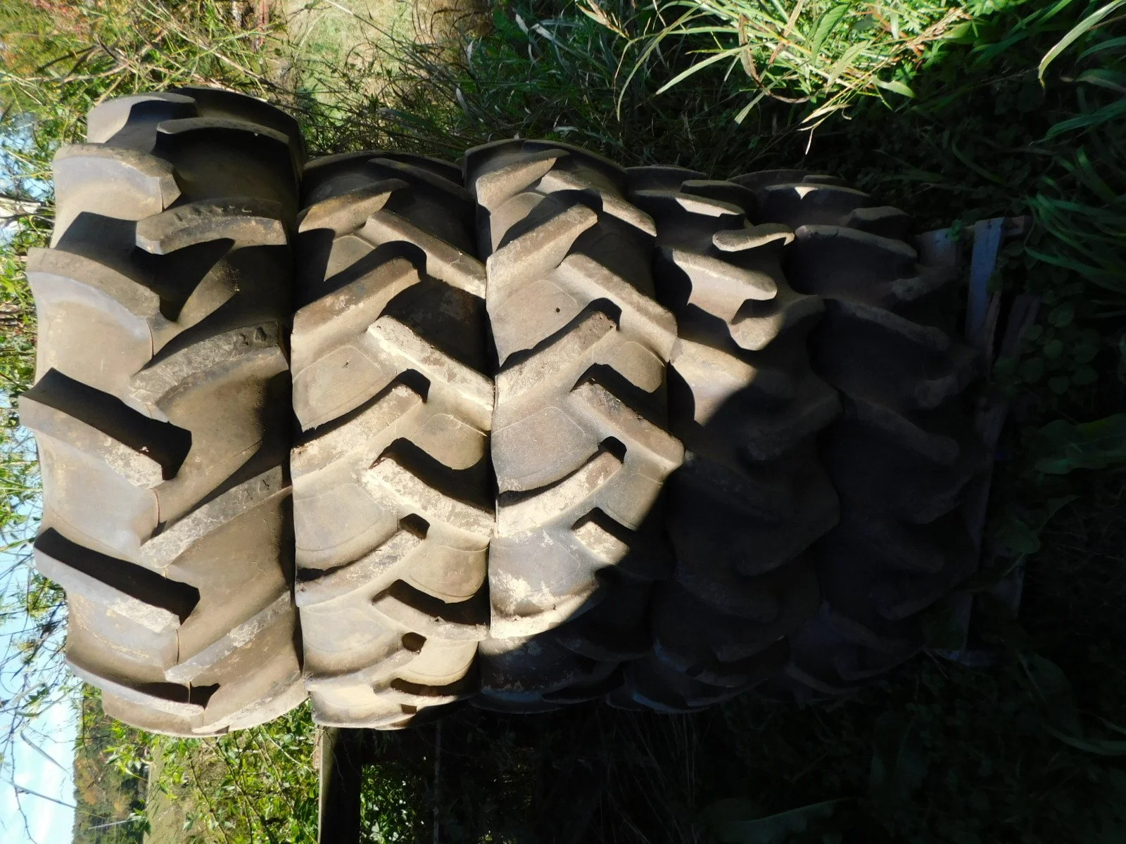 DSCN4765.JPG
