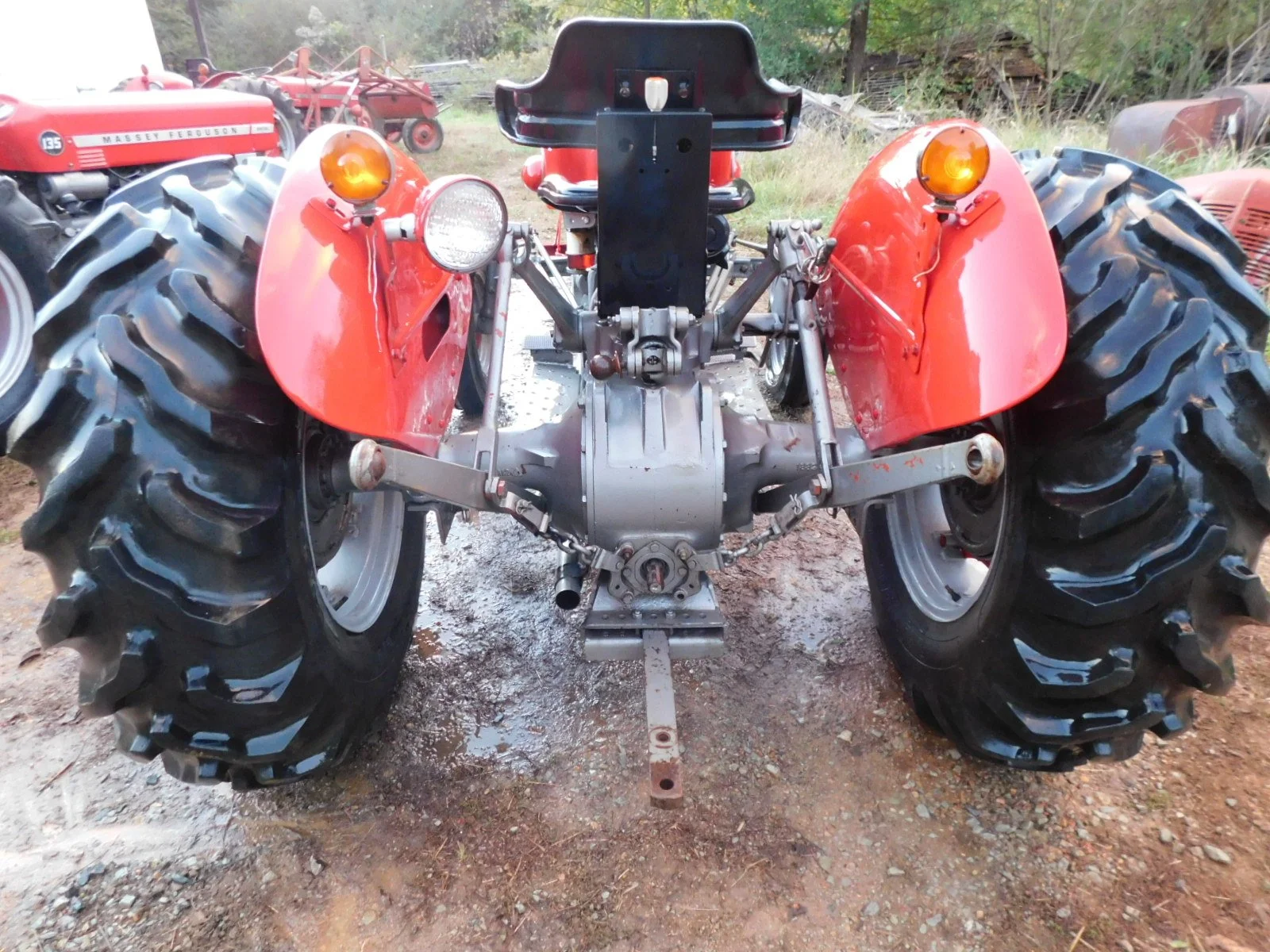 DSCN4795.JPG