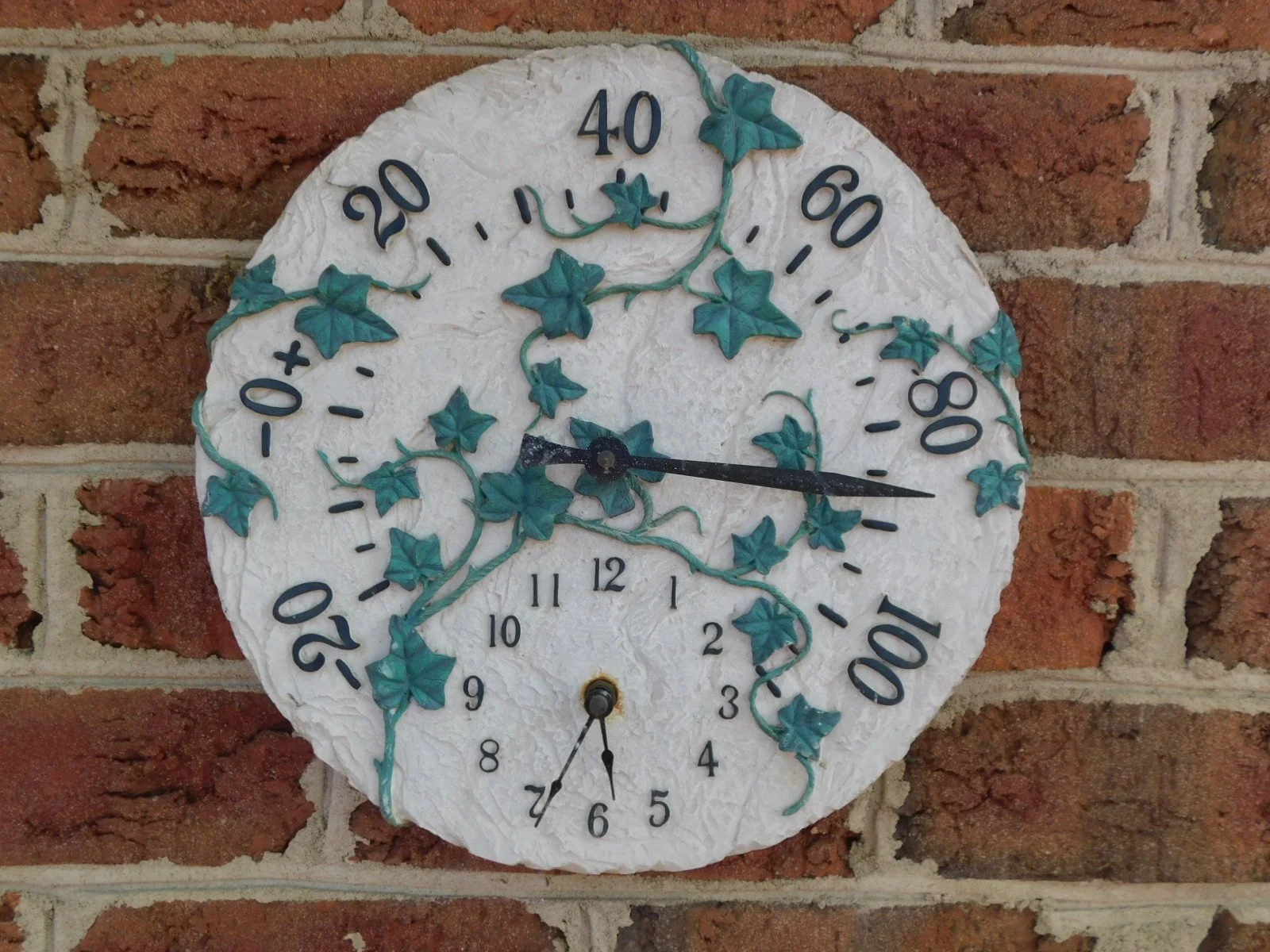 DSCN4619.JPG