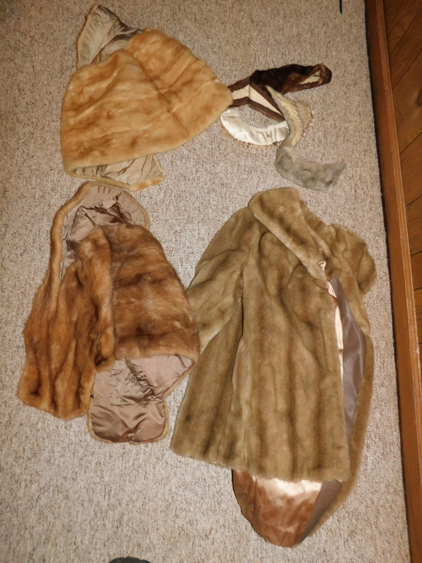 DSCN4655.JPG